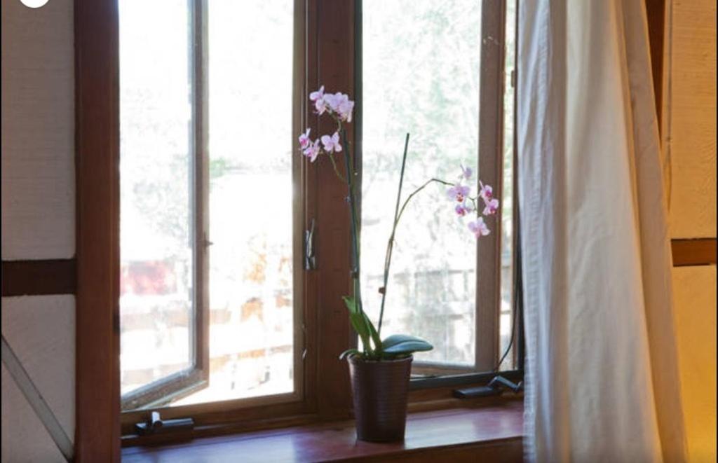 Taos Goji Farm & Eco-Lodge Retreat