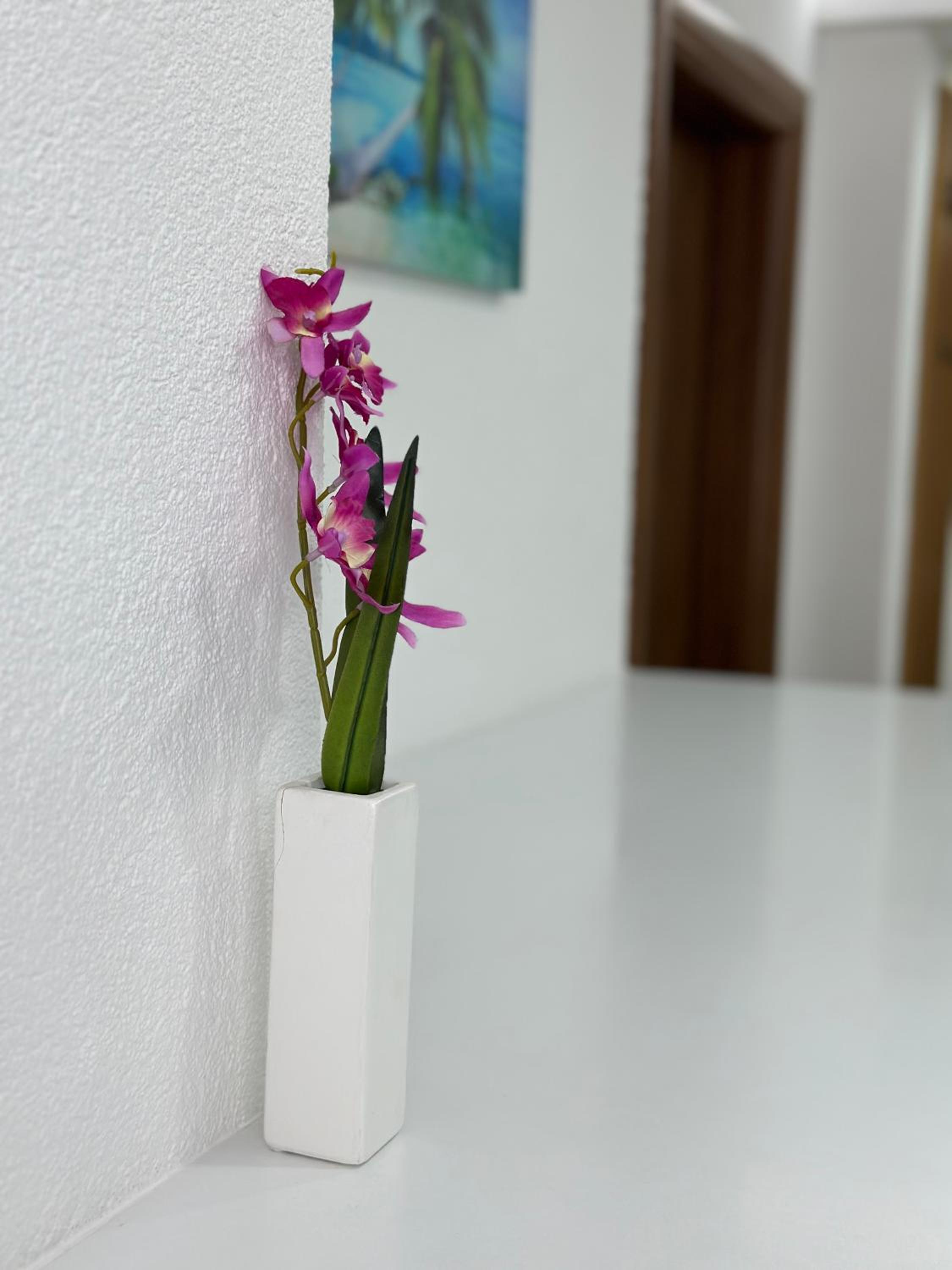 New Luxury Apartment in Sarajevo Center