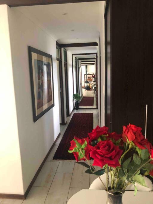 Red Cascade - Luxury 4 bedrooms -solar and aircons view 3