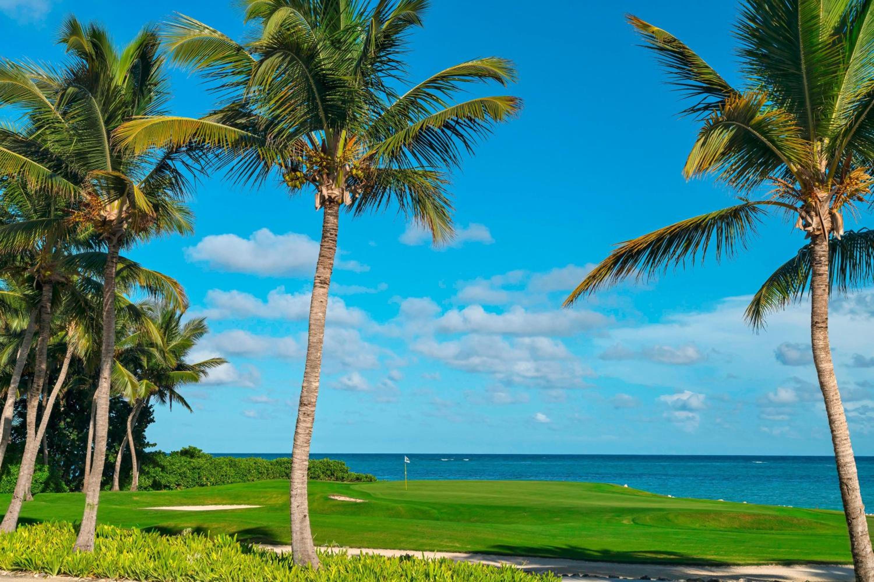 The Westin Puntacana Resort photo 143 of 146