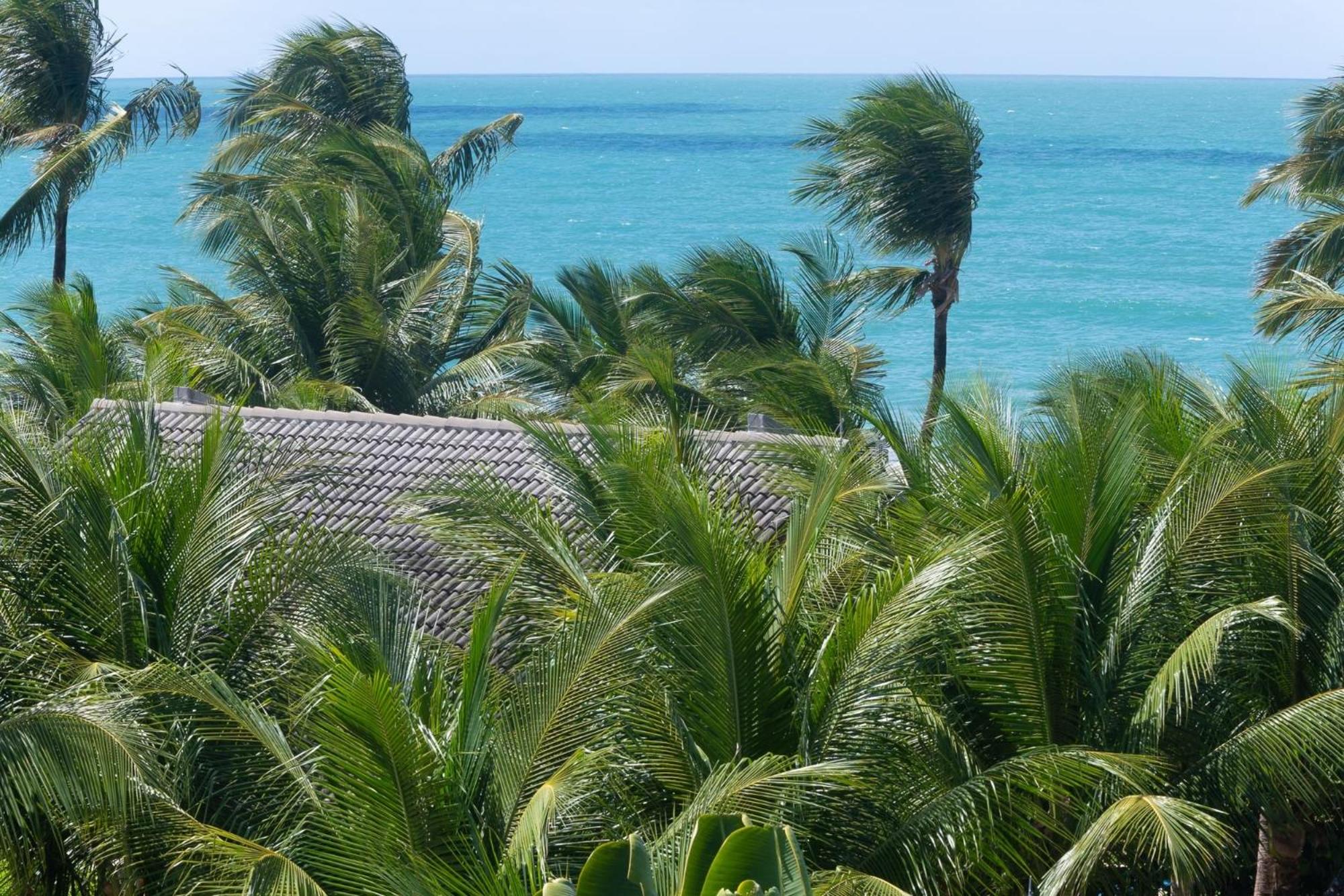 BeachClass EcoLife Porto de Galinhas por Brevelar