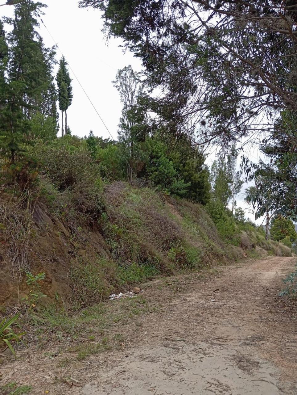 Cabaña Cueva del Zorro
