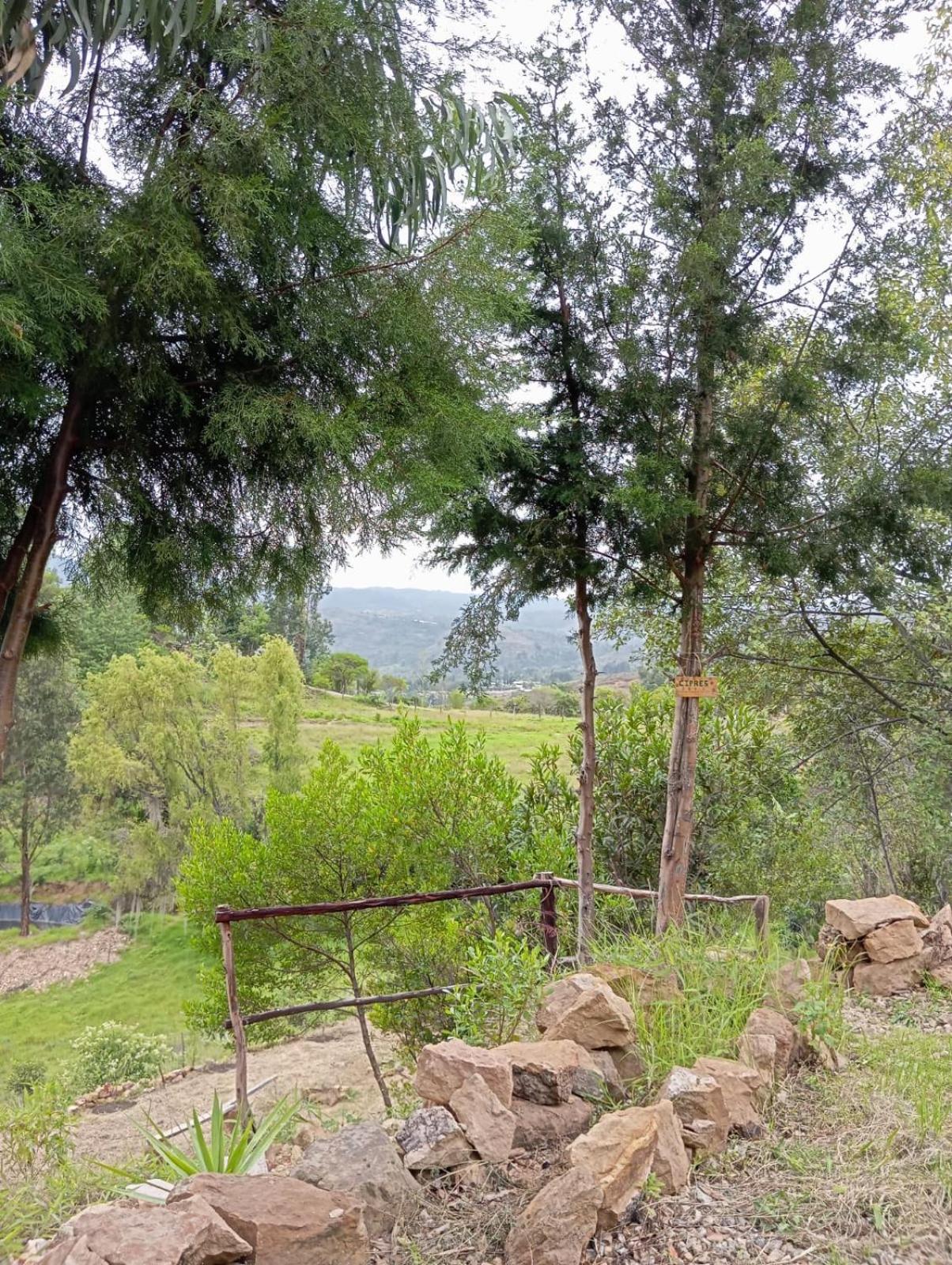 Cabaña Cueva del Zorro