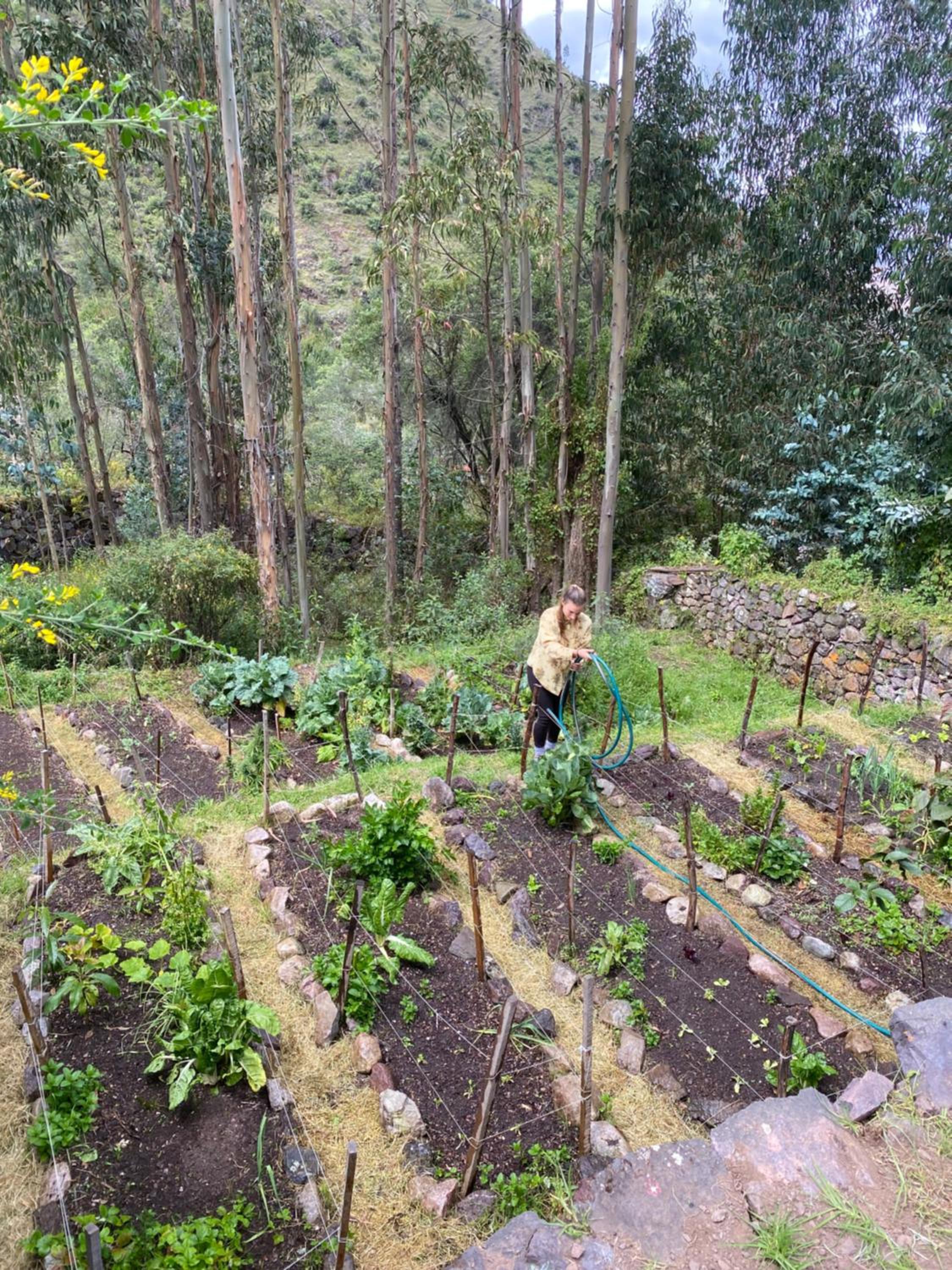 AMALAI EcoRefugio de Montaña
