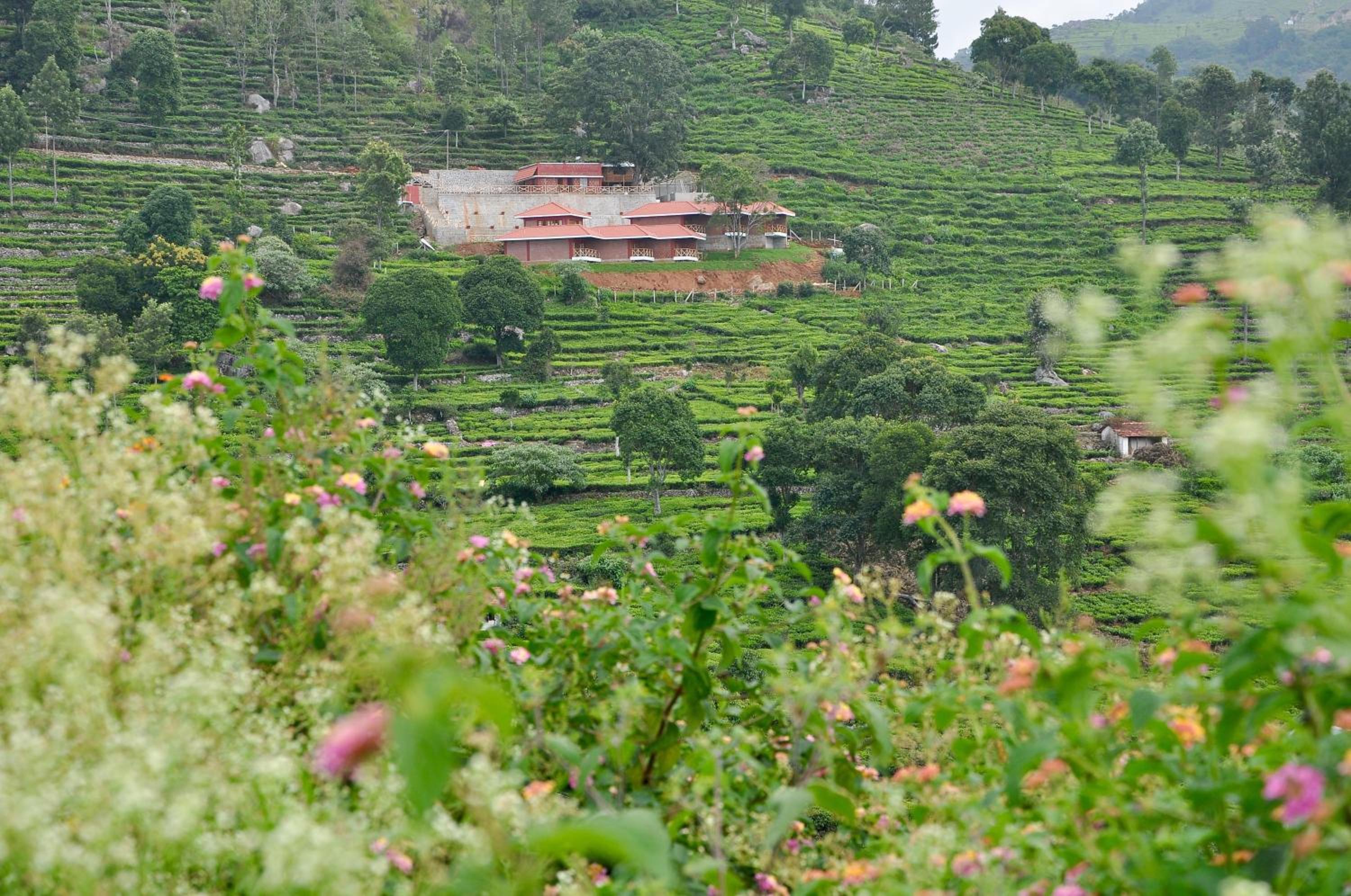 Hanging Huts Resorts view 5