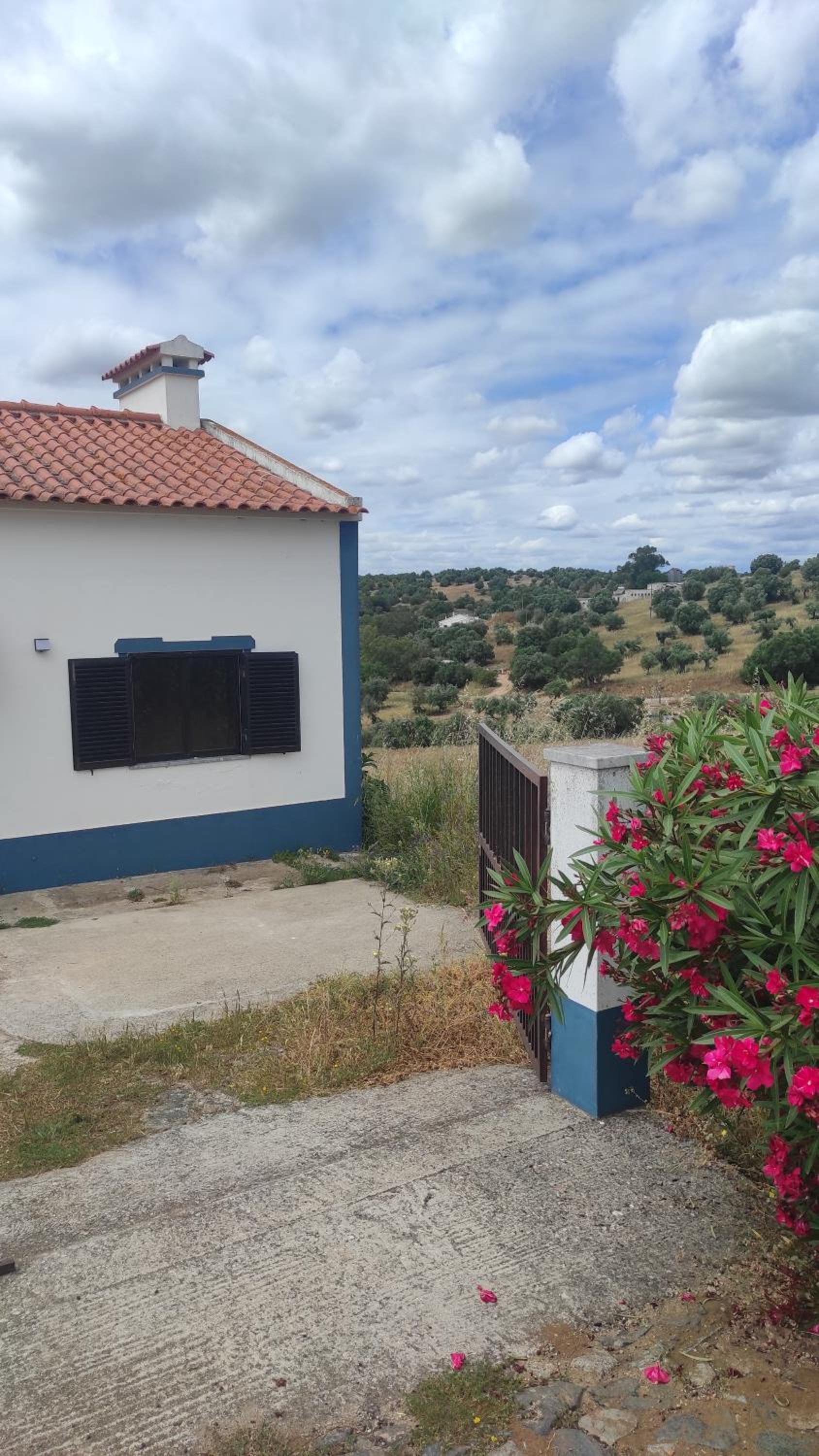 Nova Quinta Moderna TORRAMO em Oliveiras, Campo de Laranjas, na Nacional 2, Alentejo 13750 m2 view 3