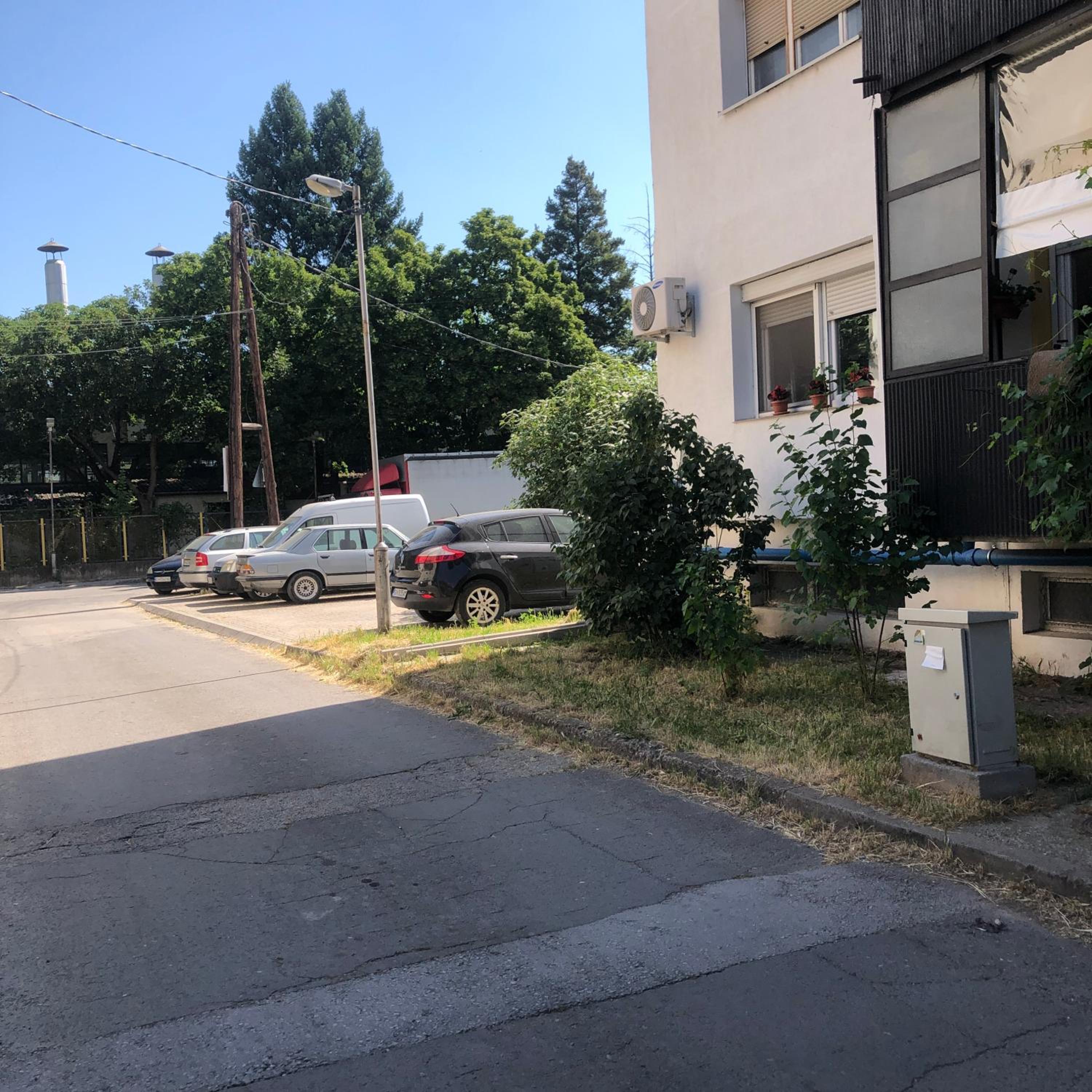Photo 8