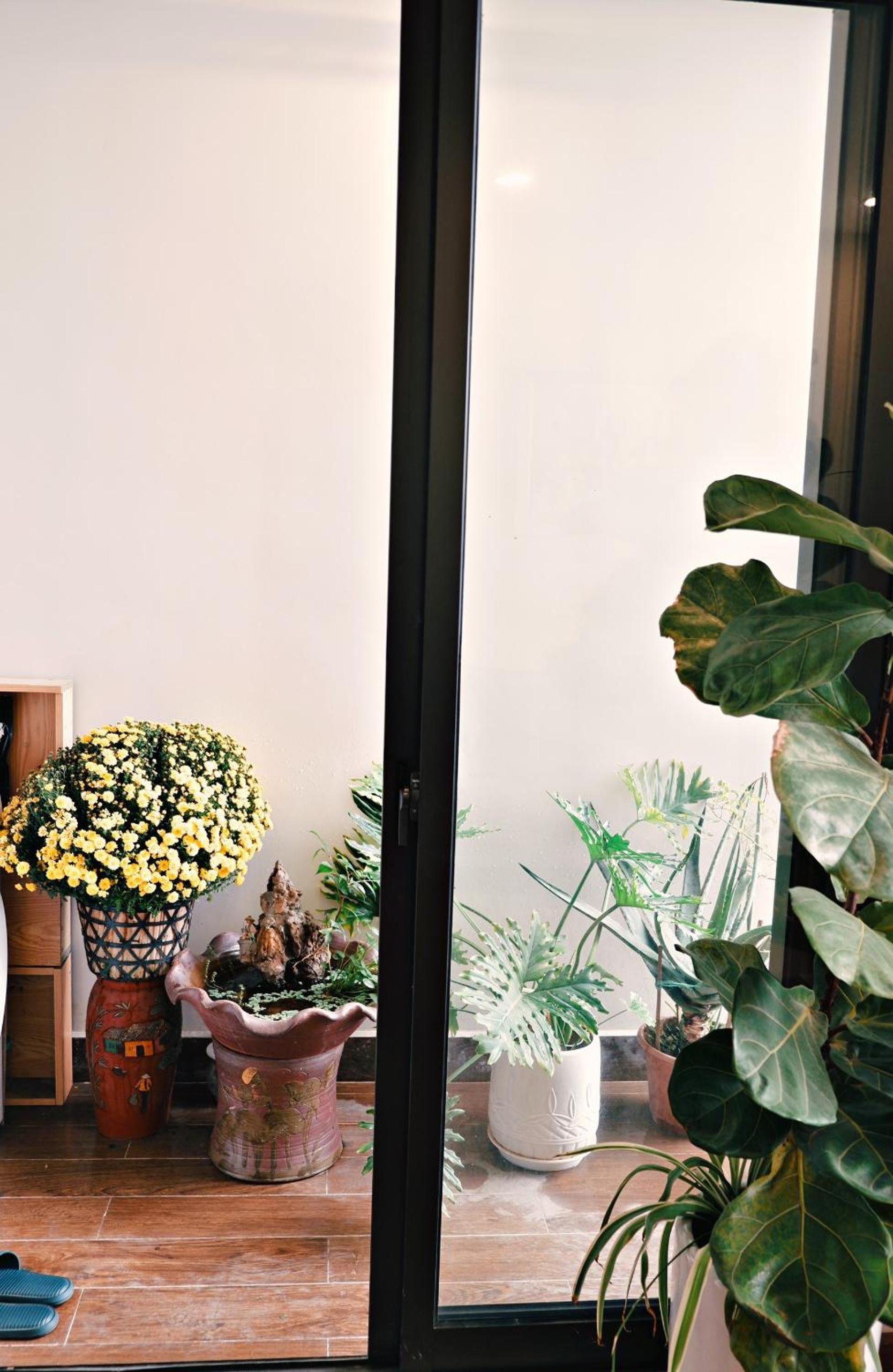 Lala Homestay Ecopark