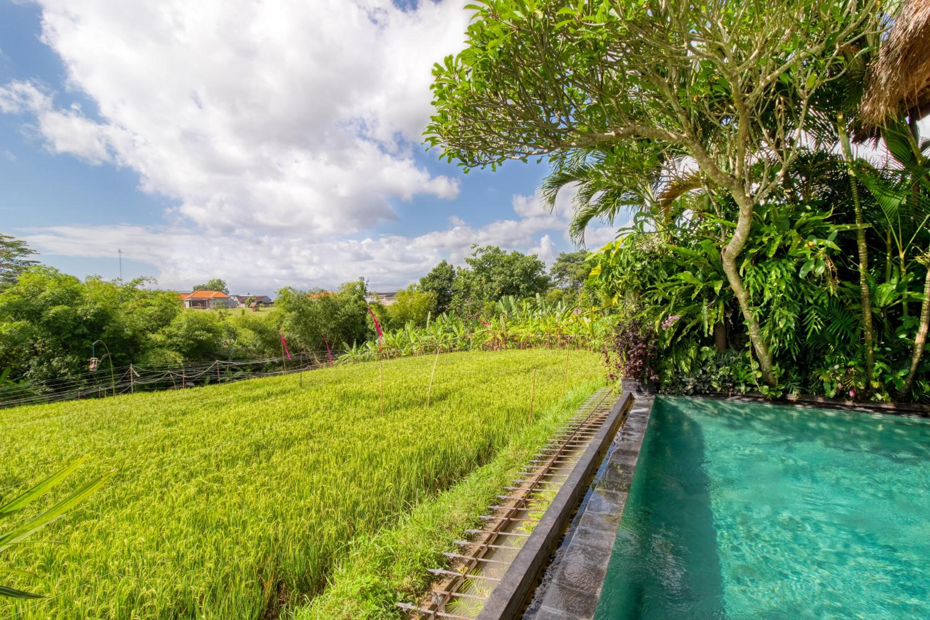 Unspoilt Rice Paddy Views, 2BR, Sleeps 4, Private view 4