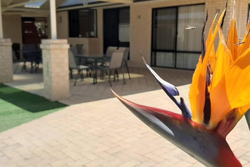 The Retreat - Central & Quiet Location - Cockburn Central