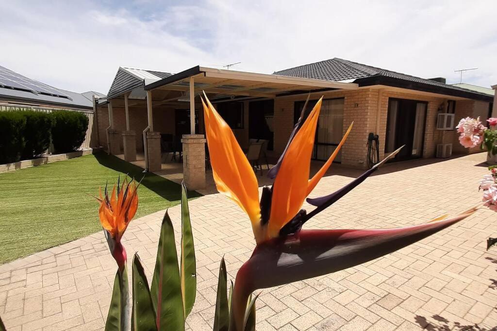 The Retreat - Central & Quiet Location - Cockburn Central