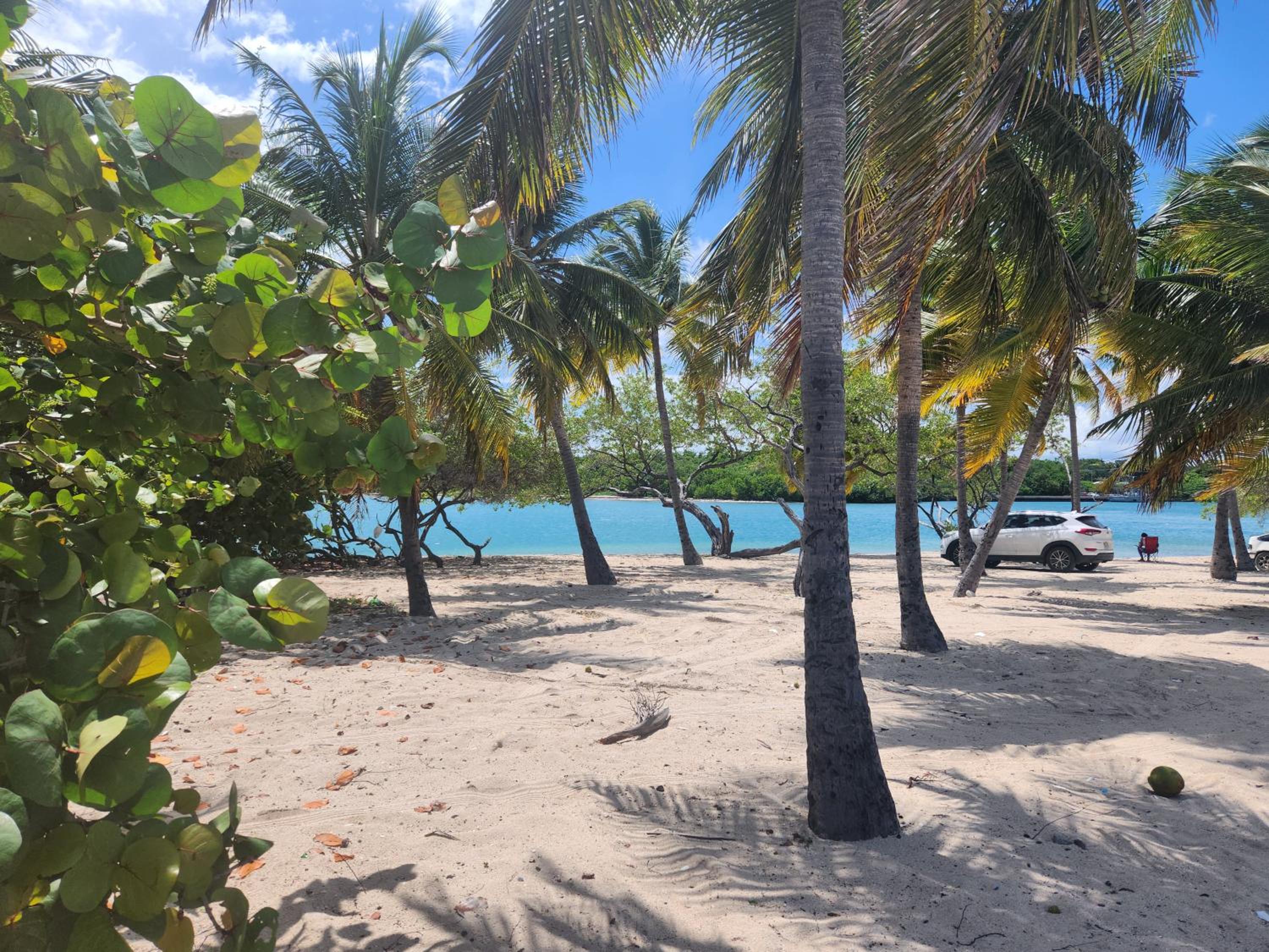 Hotel Luxury Beach Penthouse with Bay & Mountain Views, Private Rooftop Terrace with BBQ, AC, Fast Wi-Fi, Casita Linda Larimar, Barahona - Image 1