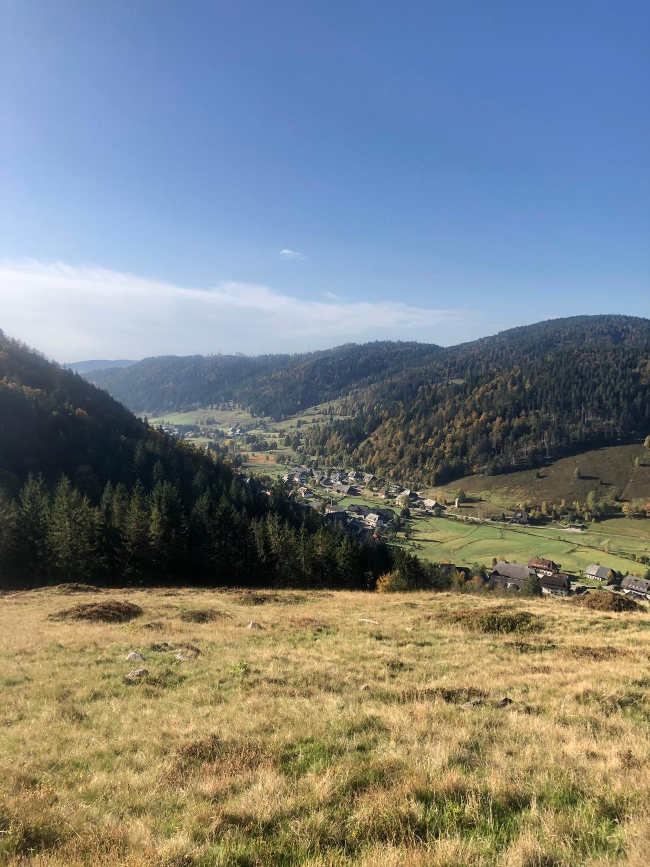 Forest Apartment-Forest Escape Menzenschwand