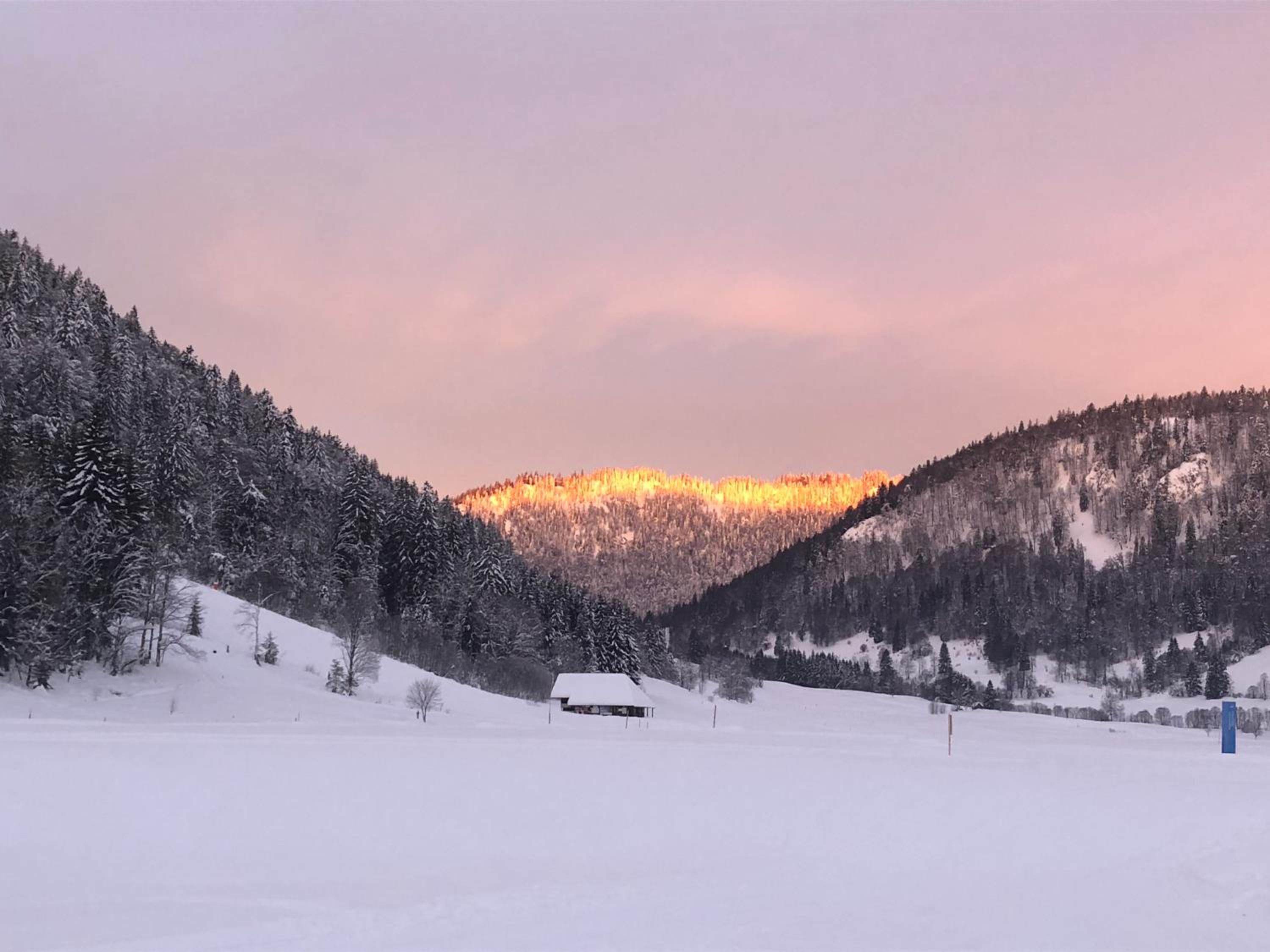 Forest Apartment-Forest Escape Menzenschwand