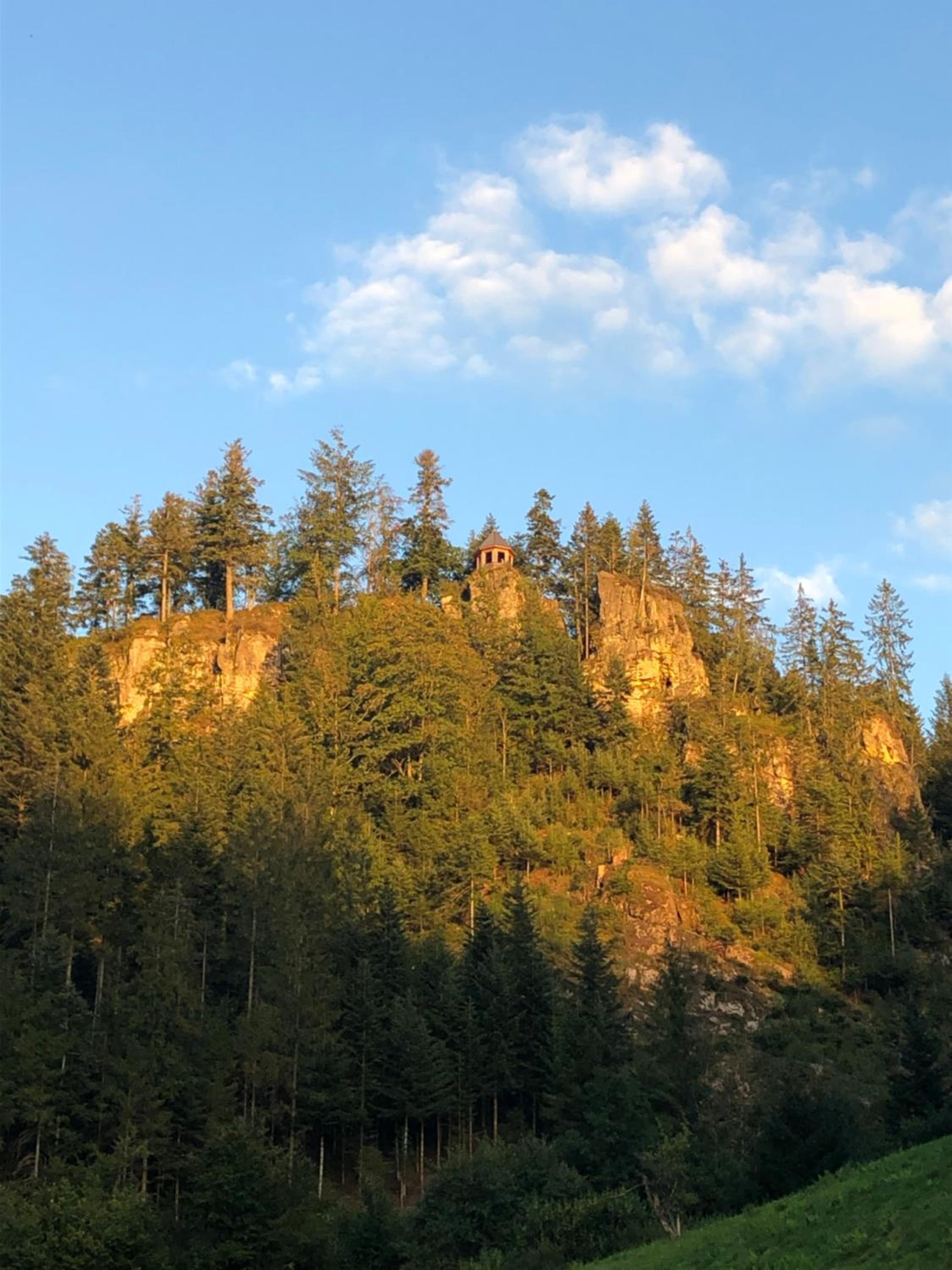 Forest Apartment-Forest Escape Menzenschwand