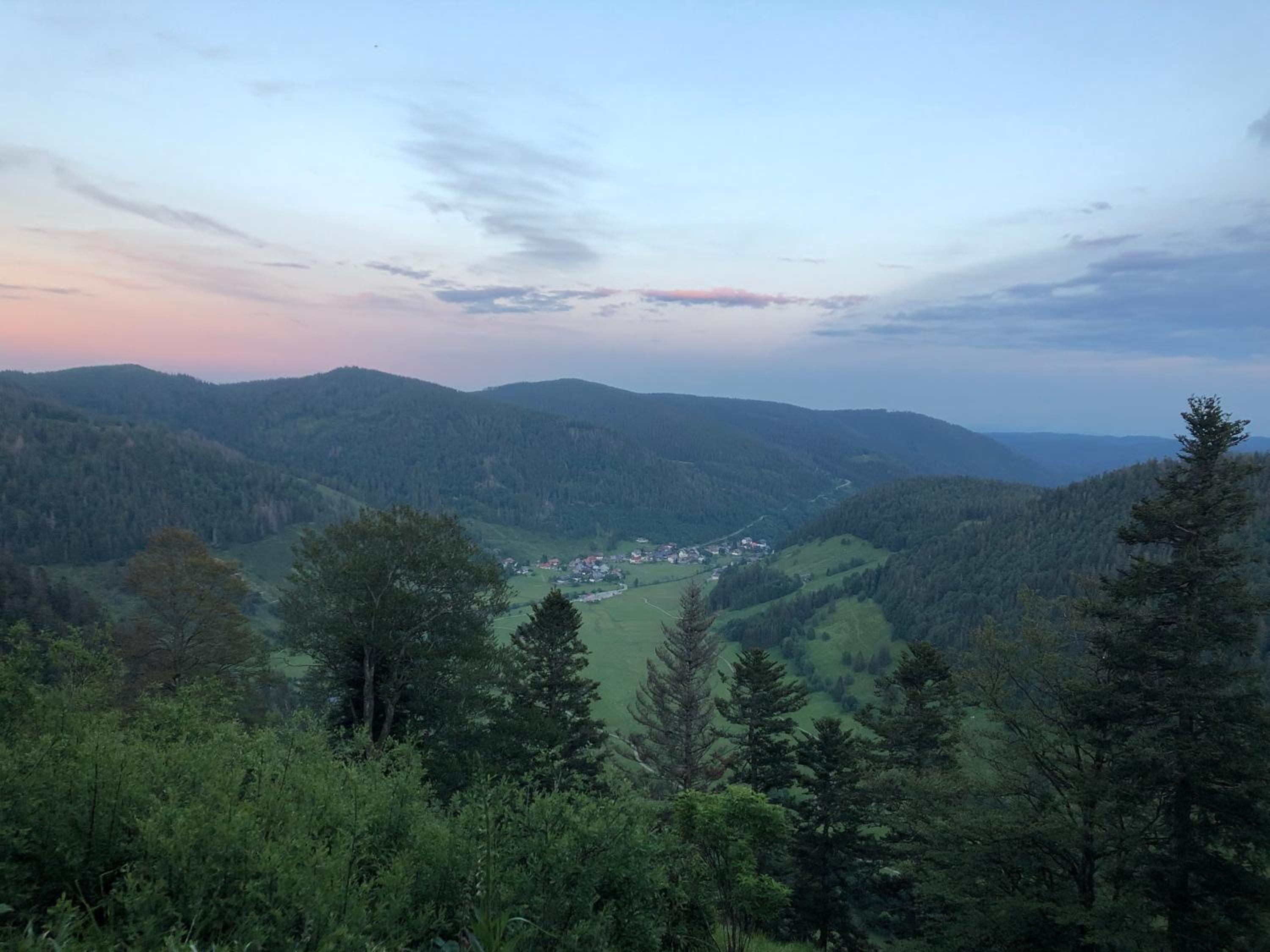 Forest Apartment-Forest Escape Menzenschwand