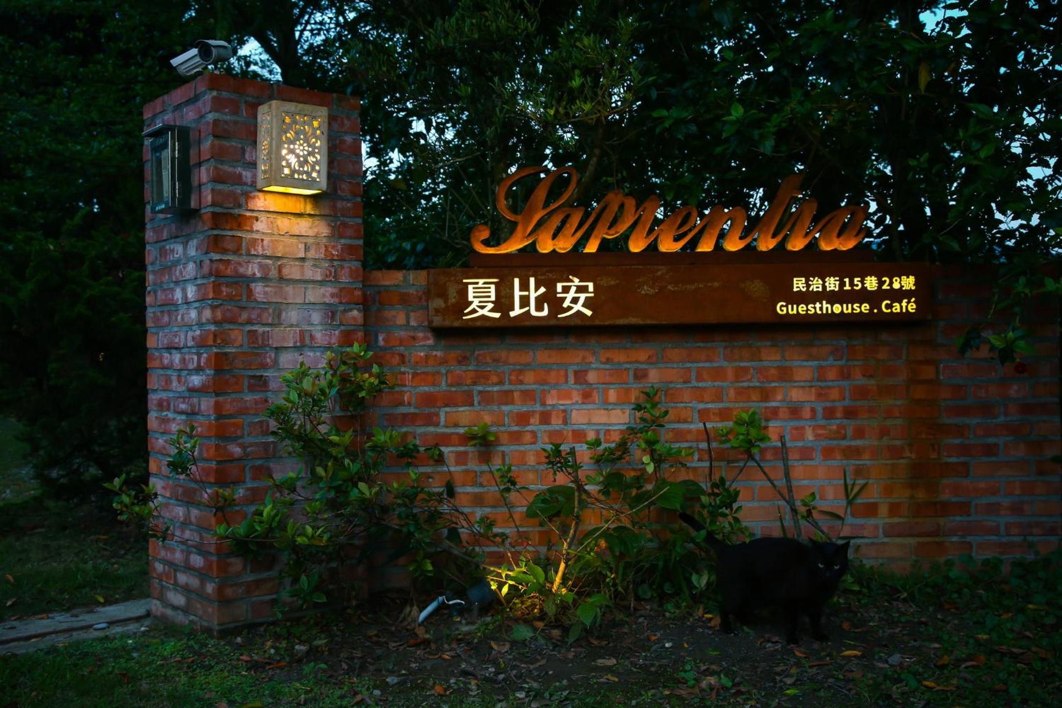 Sapientia view 2