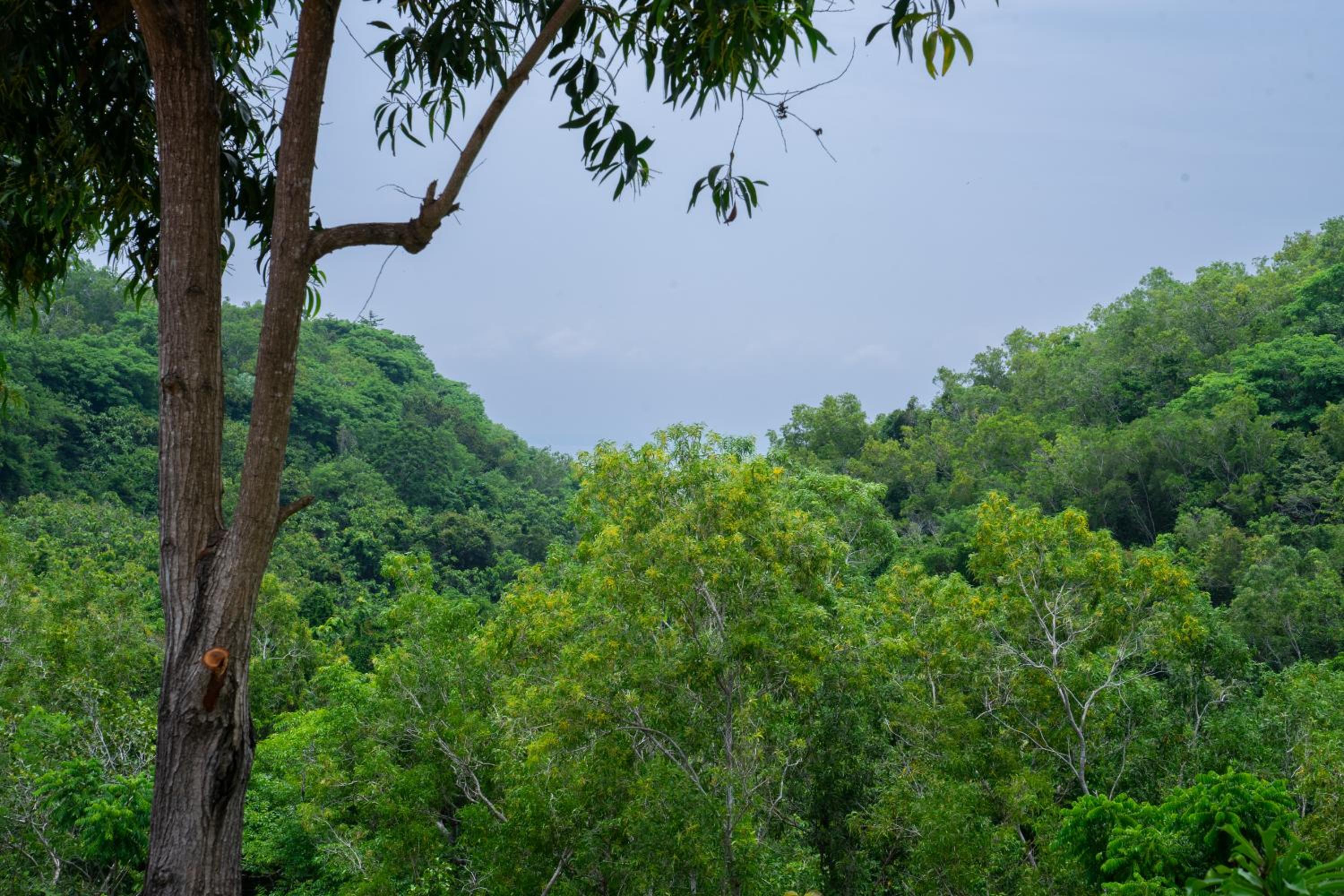 Sukacita villa