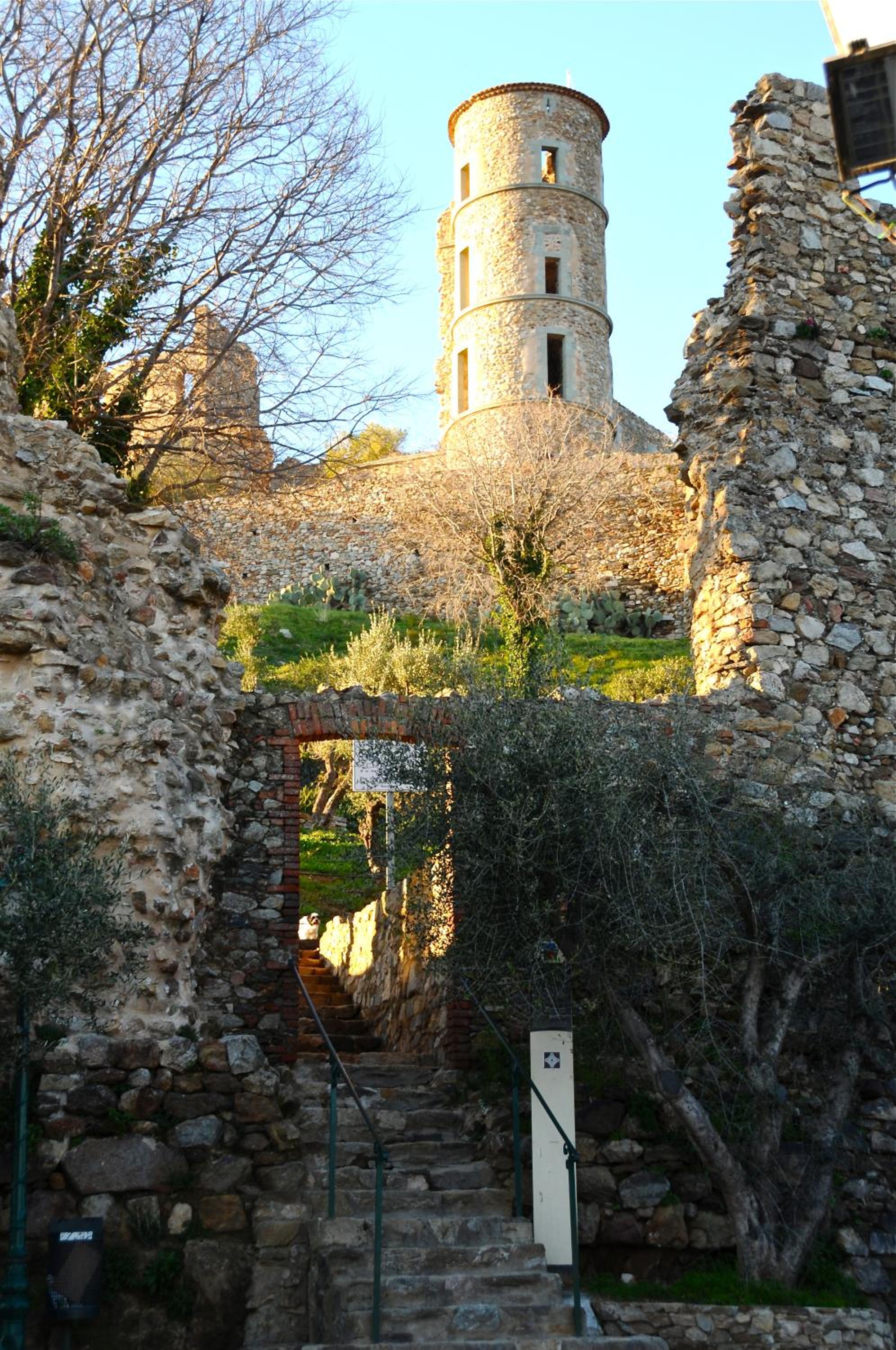 Photo 25