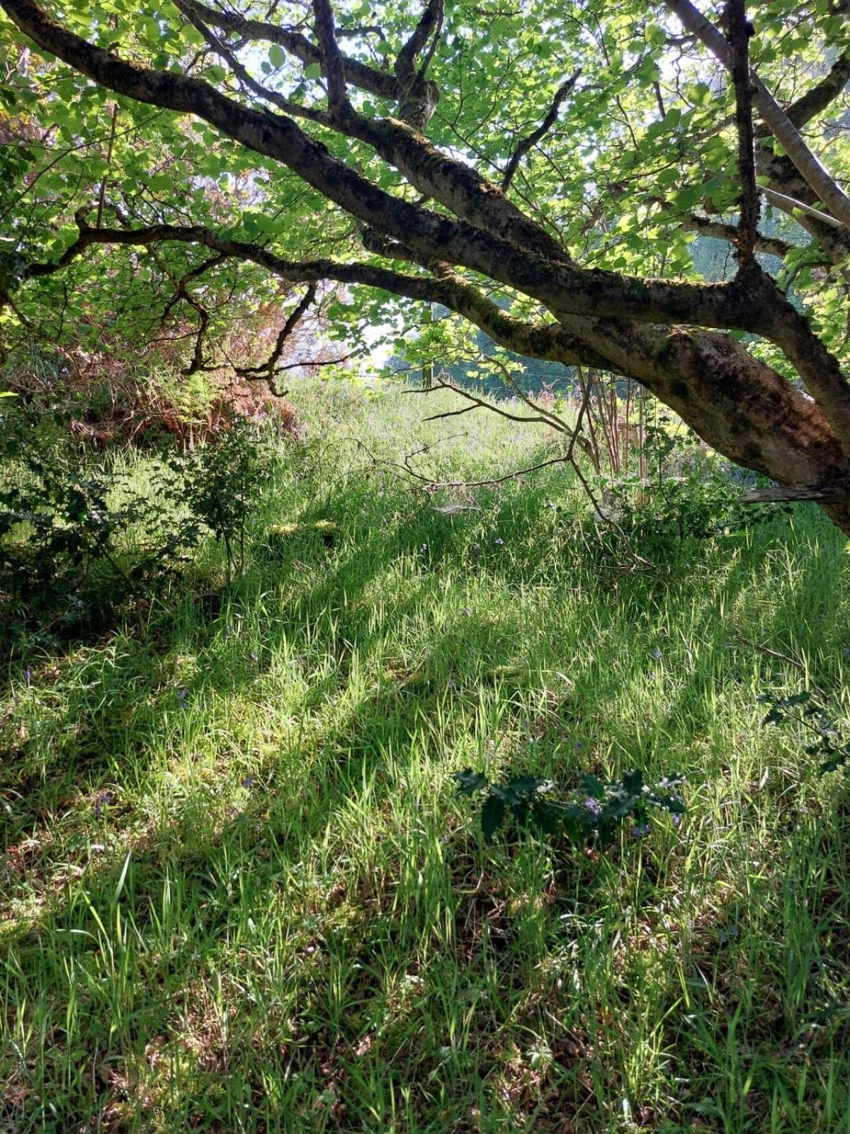 'Treetops' - Bright & Homely 2 Bed Flat w Parking view 4