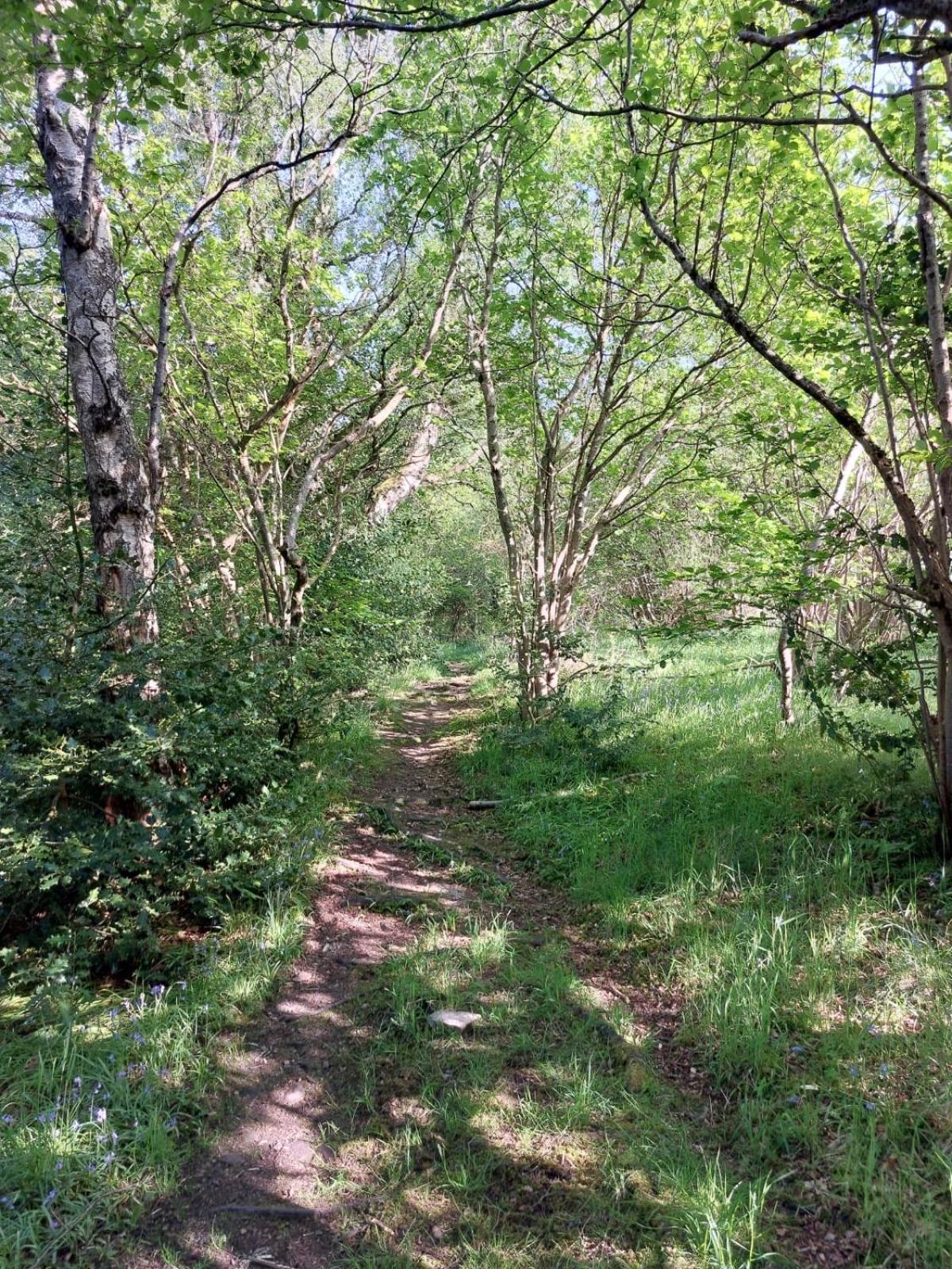 'Treetops' - Bright & Homely 2 Bed Flat w Parking view 3
