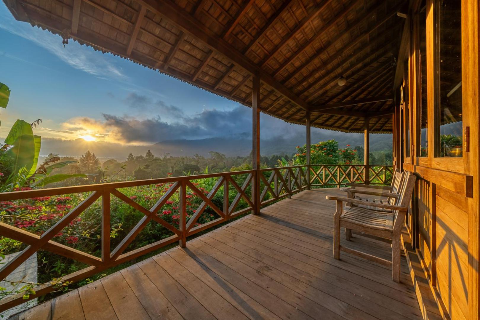 The Fern Lodge