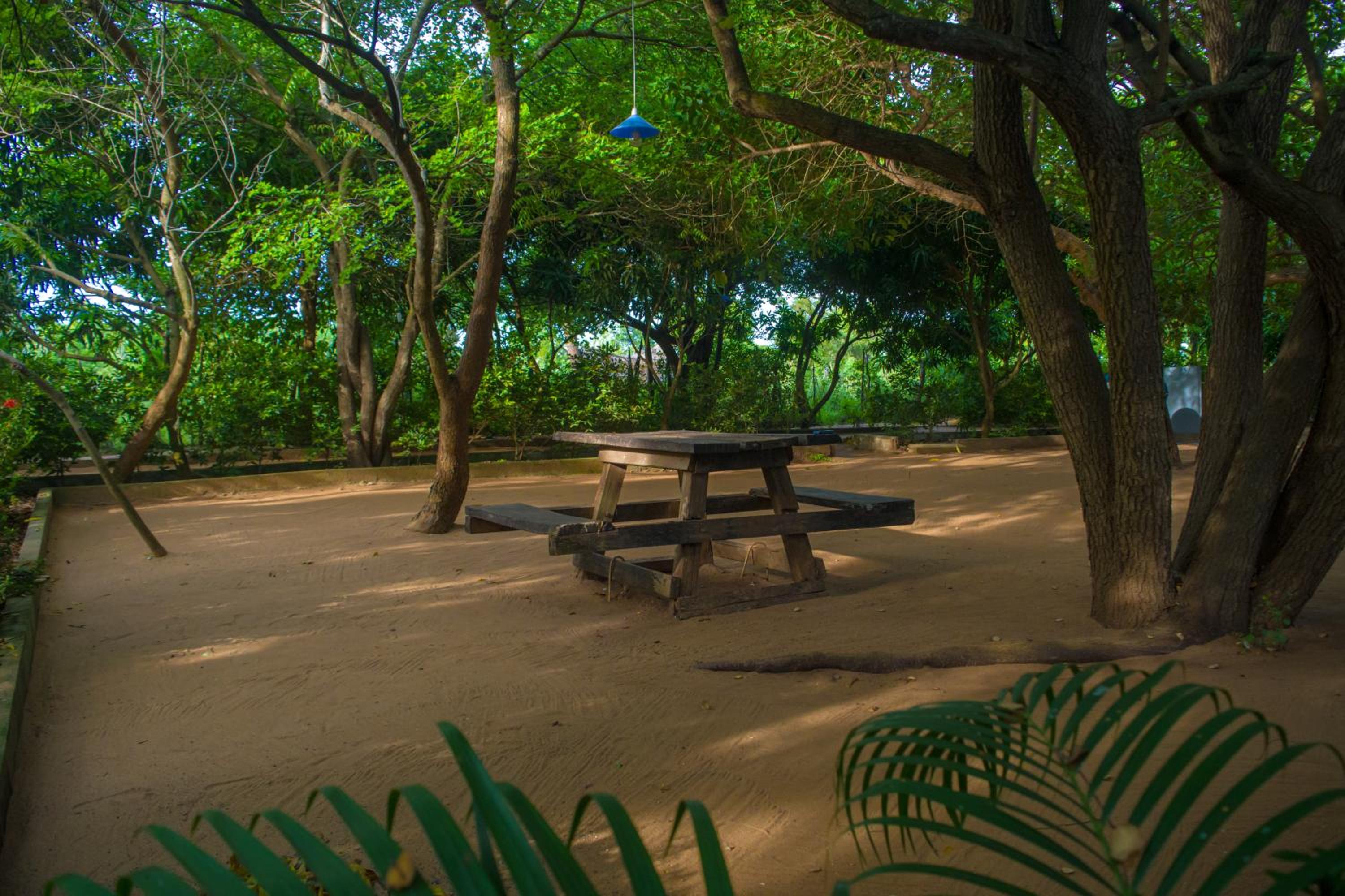 Jungle Queen Villa - Panama Near Arugam Bay view 2