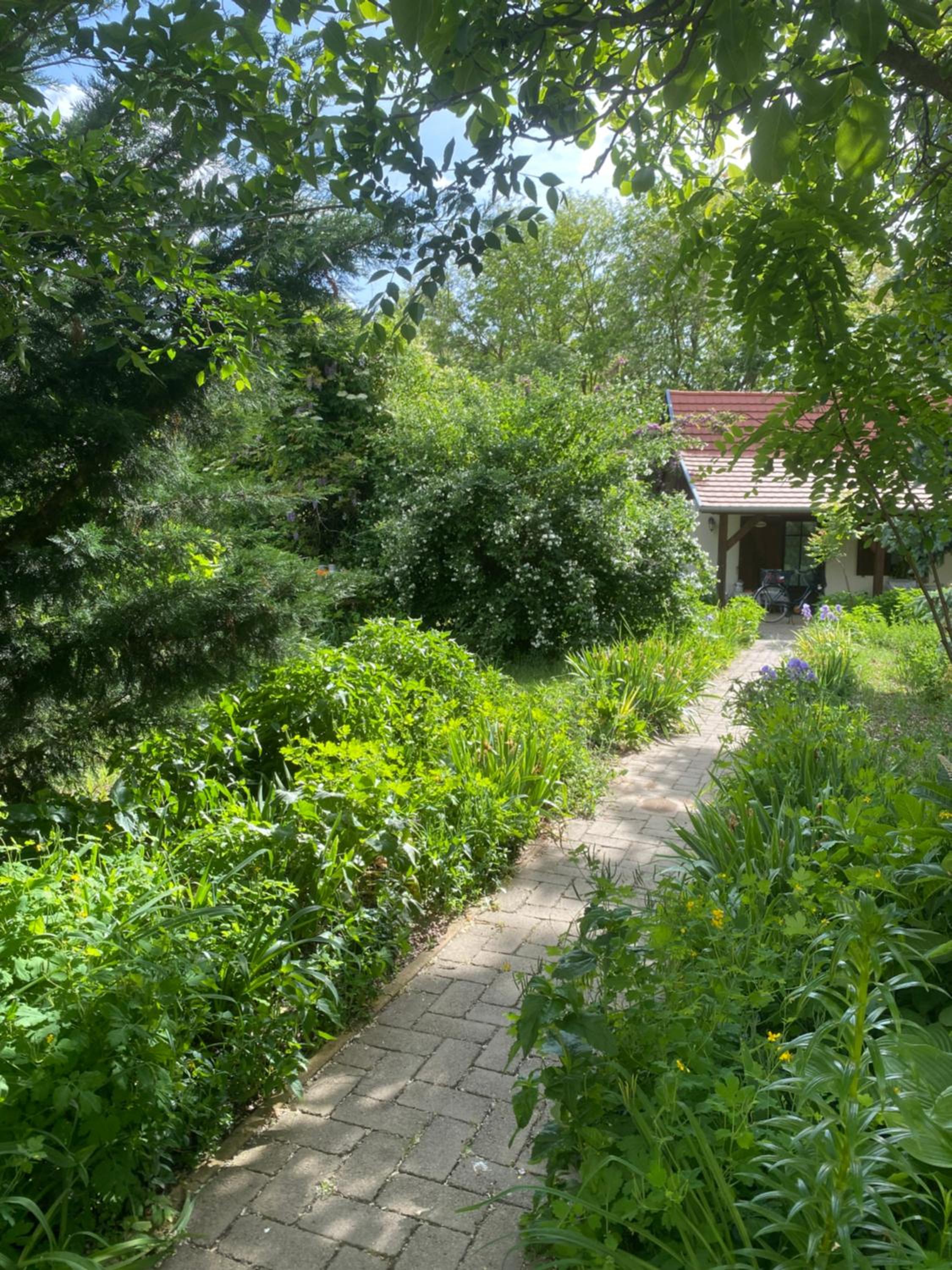 Rácz Vendégház, Lajosmizse, photo 28