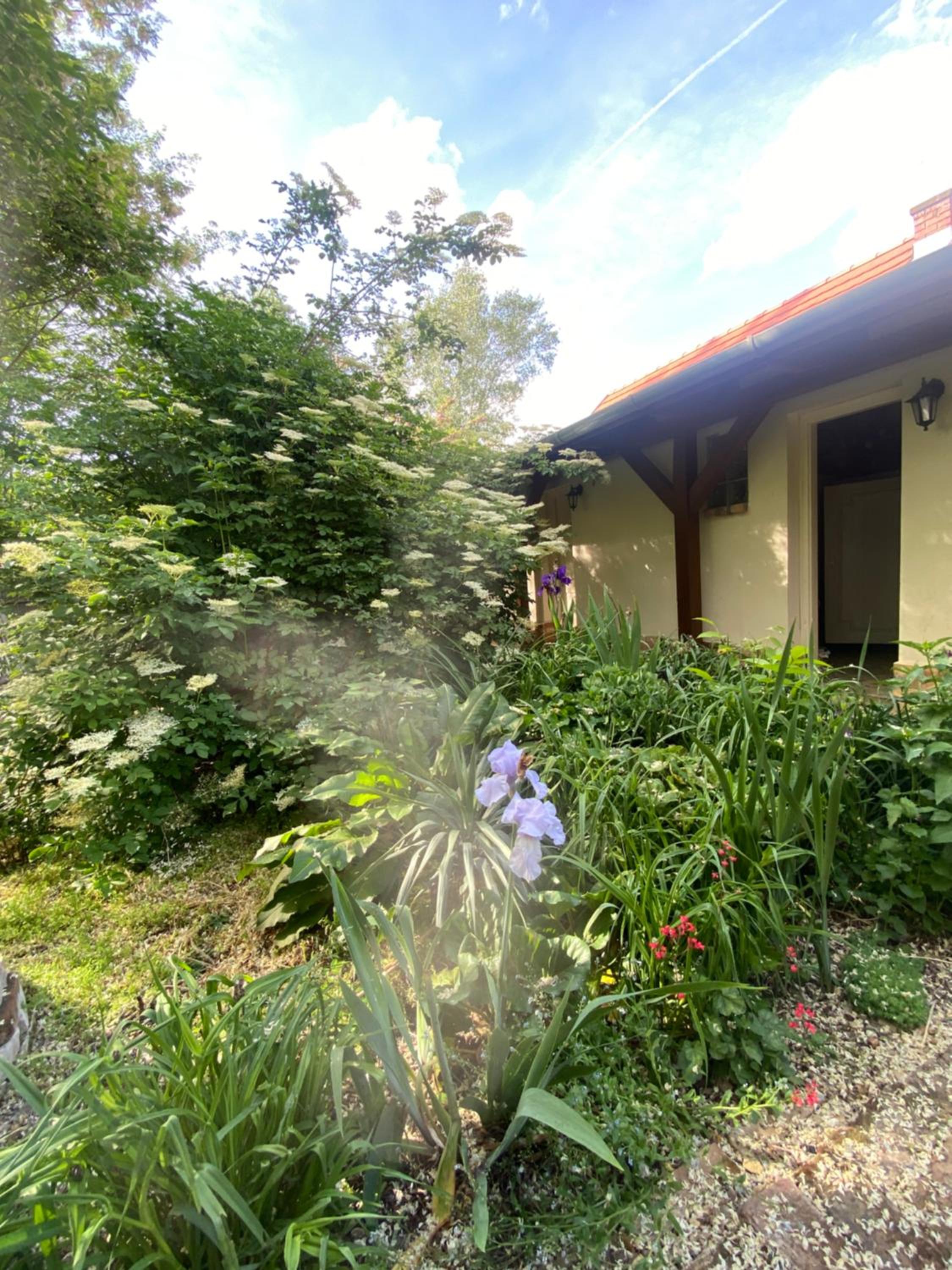 Rácz Vendégház, Lajosmizse, photo 26