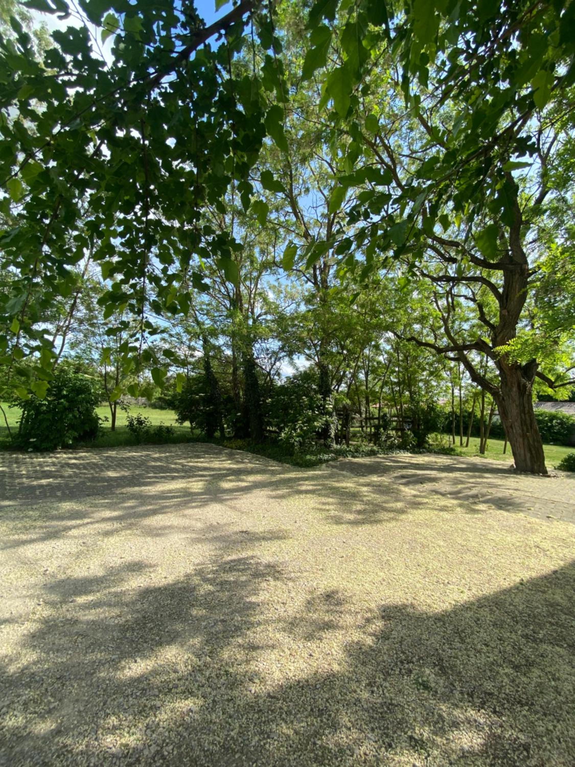 Rácz Vendégház, Lajosmizse, photo 29