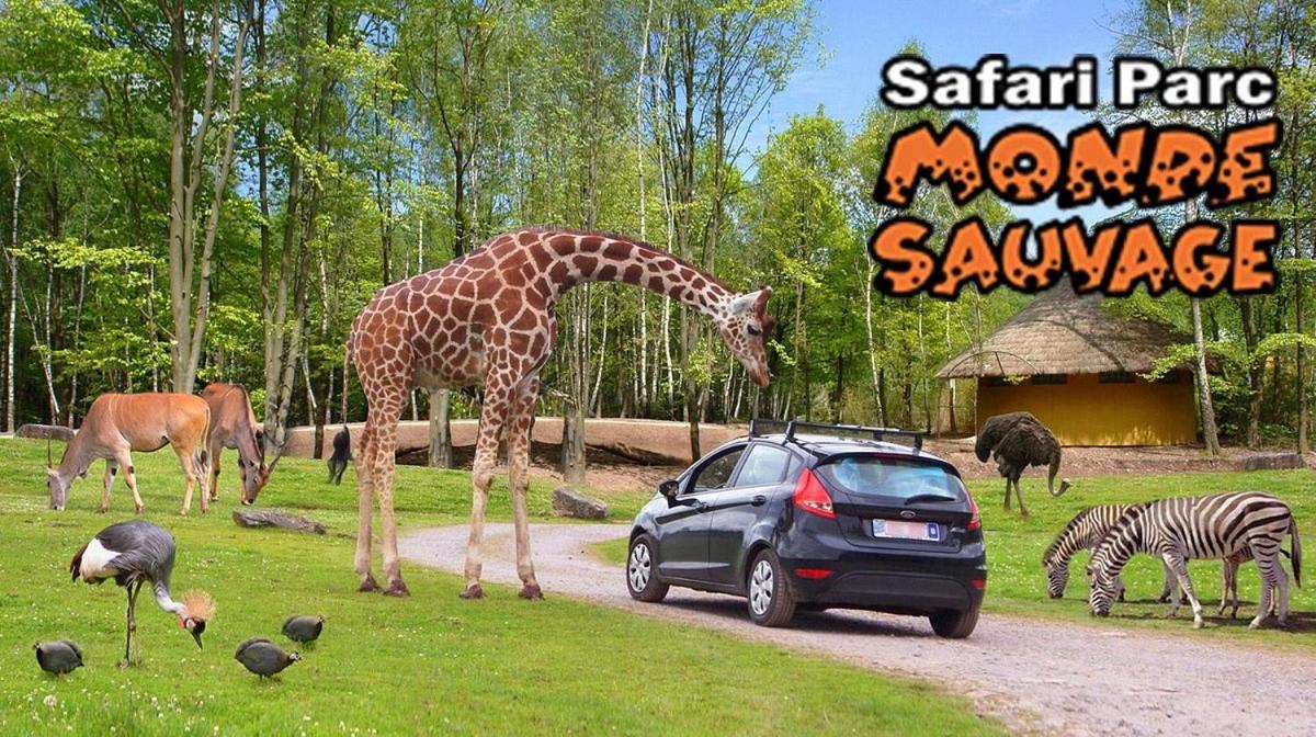 Au cœur du Menobu