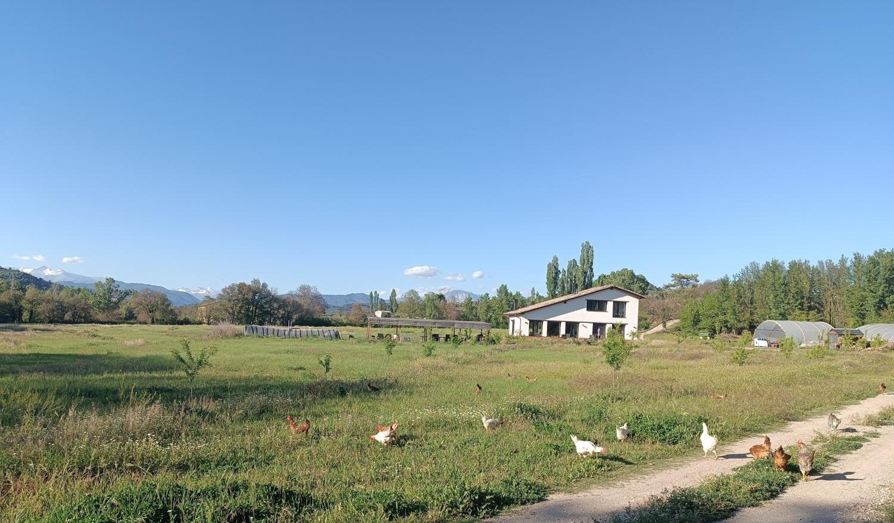 Casas Natura Suites - Finca Rural