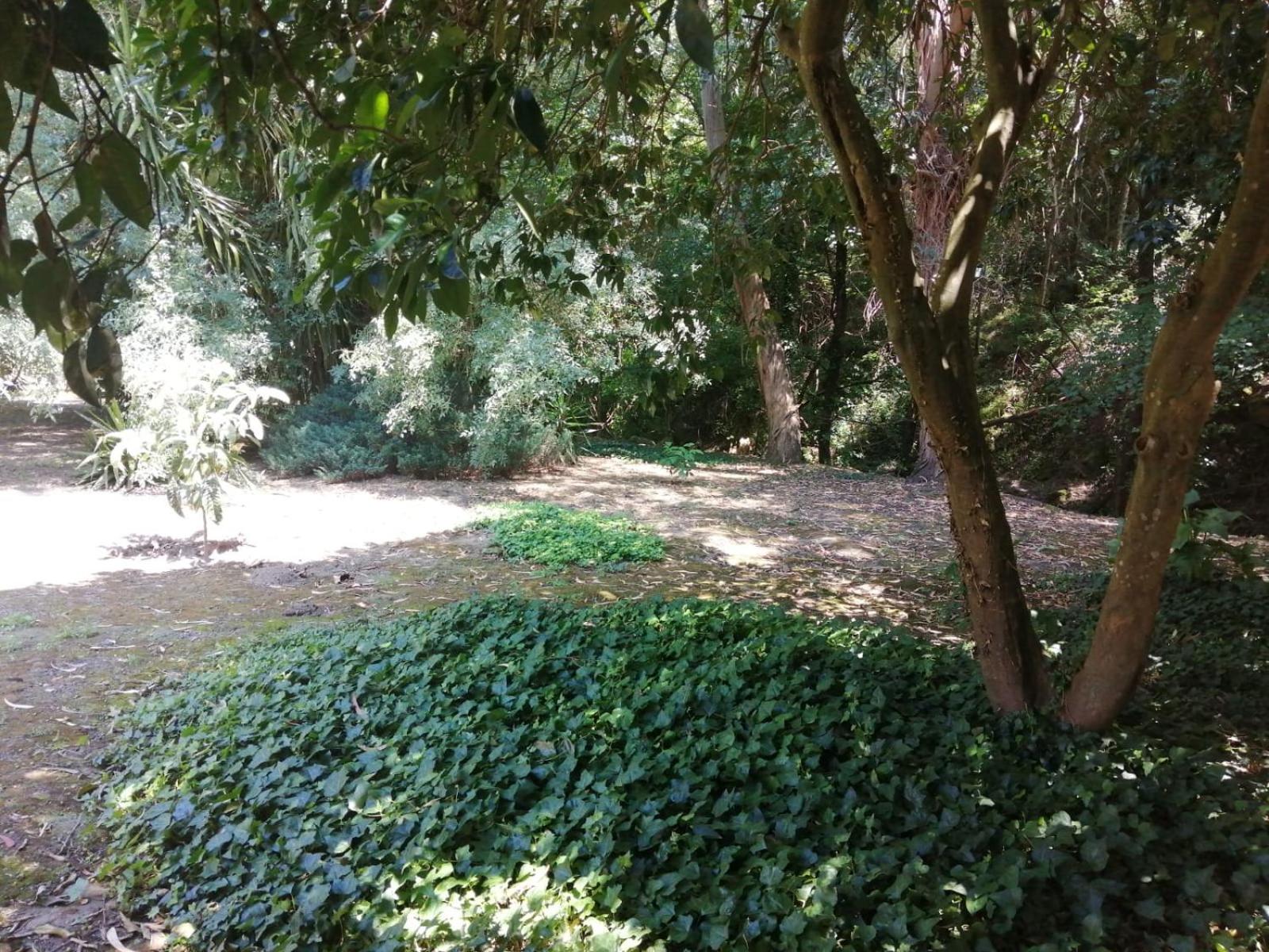 Photo 34