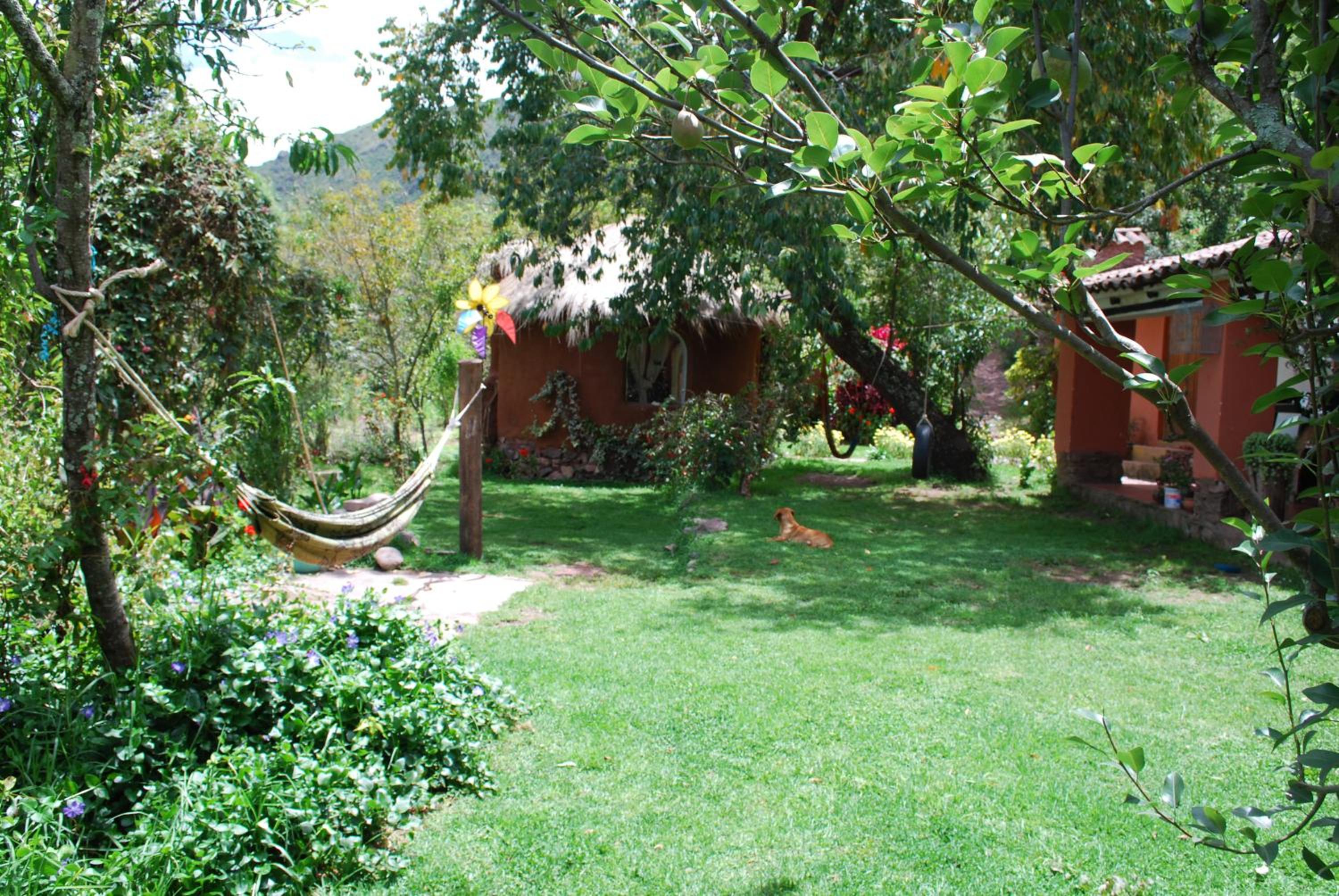 EColodge Ccatan, photo 103