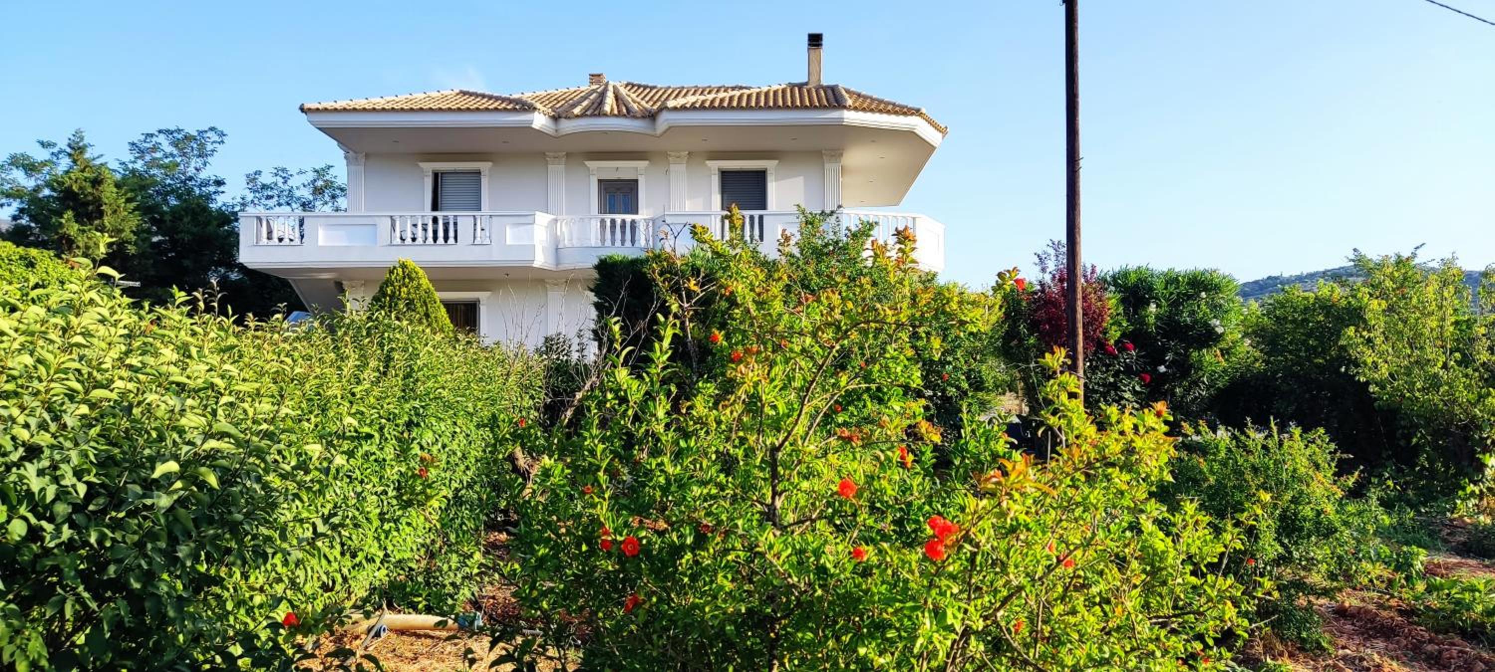 Villa Georgia With Pool photo 3