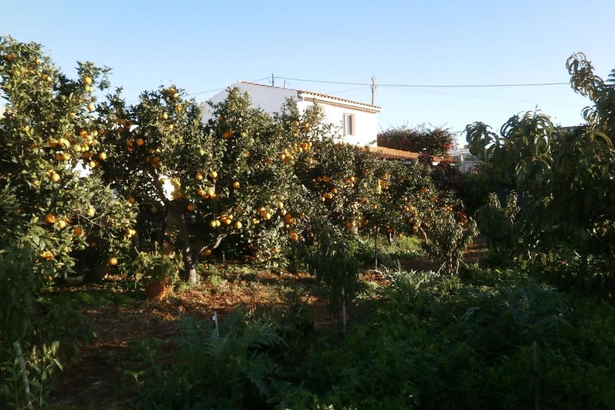 Orchard Cottage