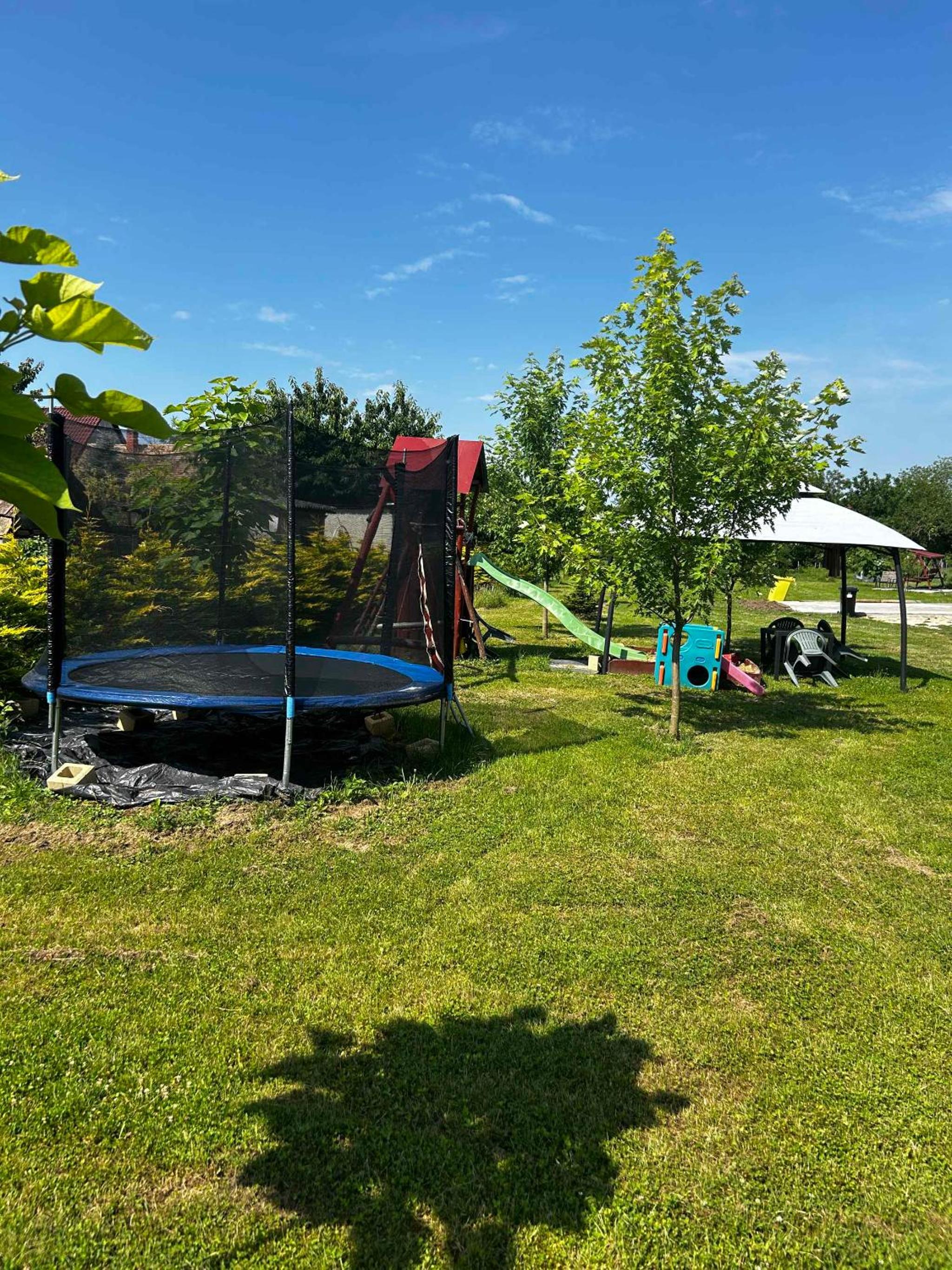 Photo 16