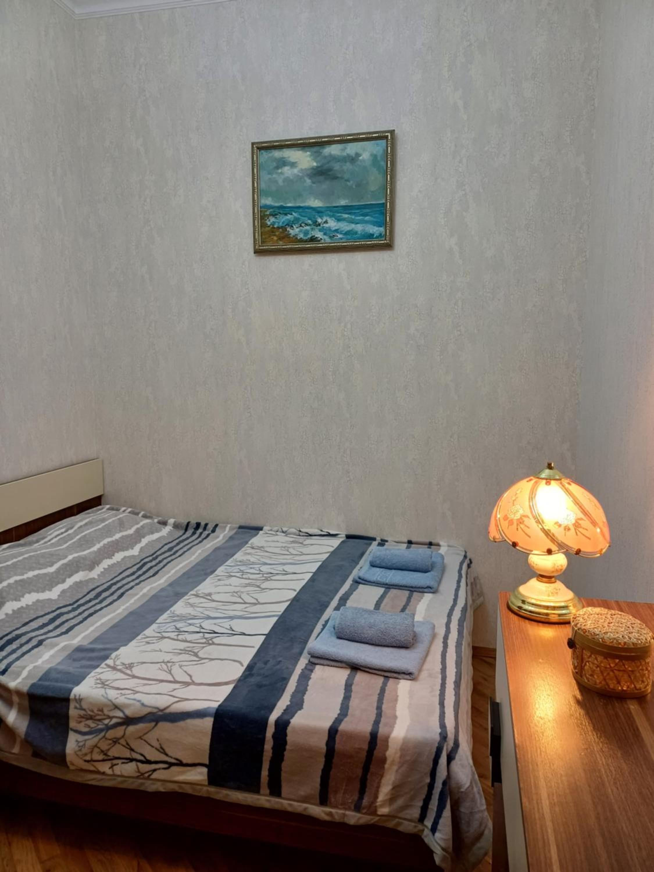 Spacious Apartment in Center, near Nizami st, Fountain Square and Sahil Metro Station