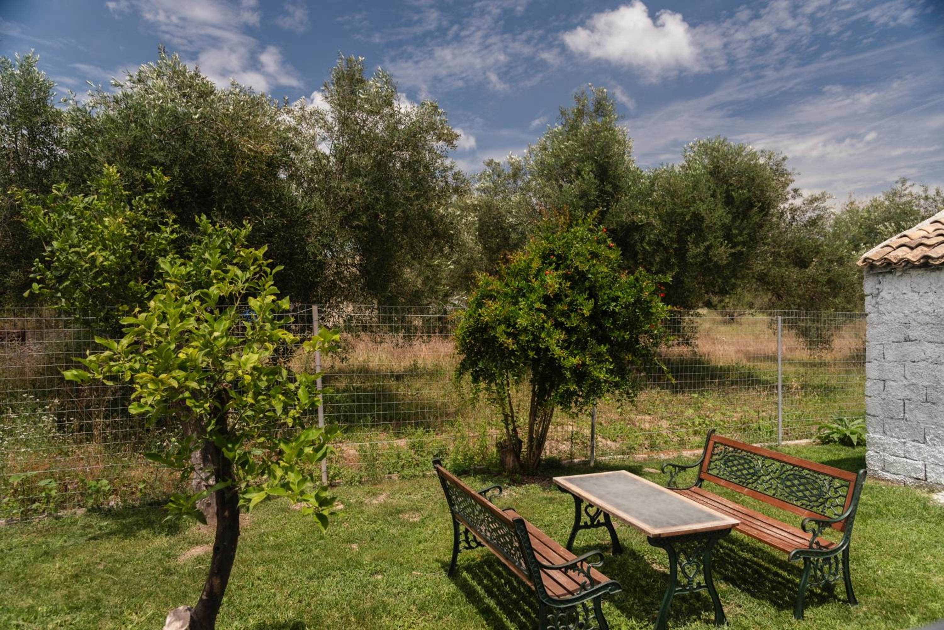 Dimitras Home