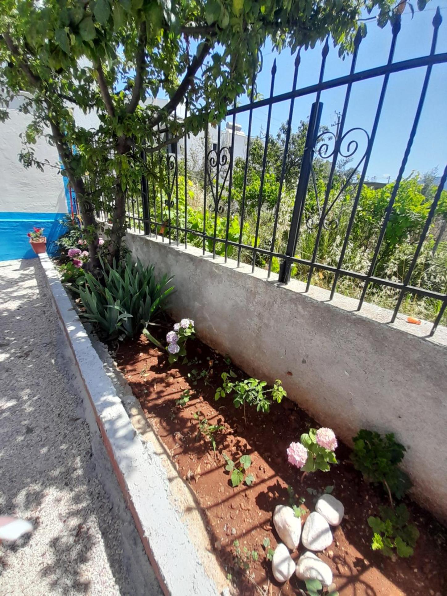 Vila Francesko