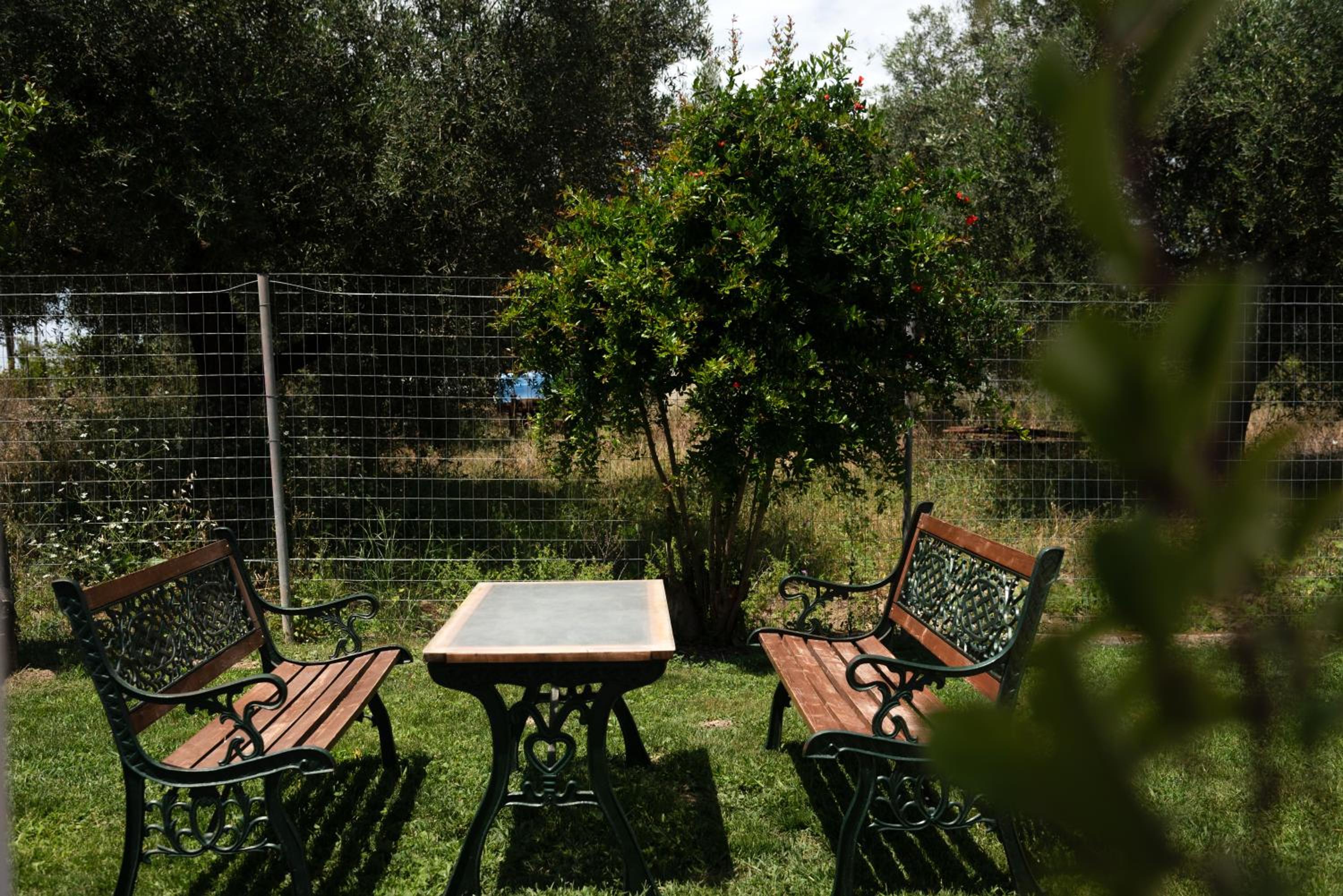 Dimitras Home