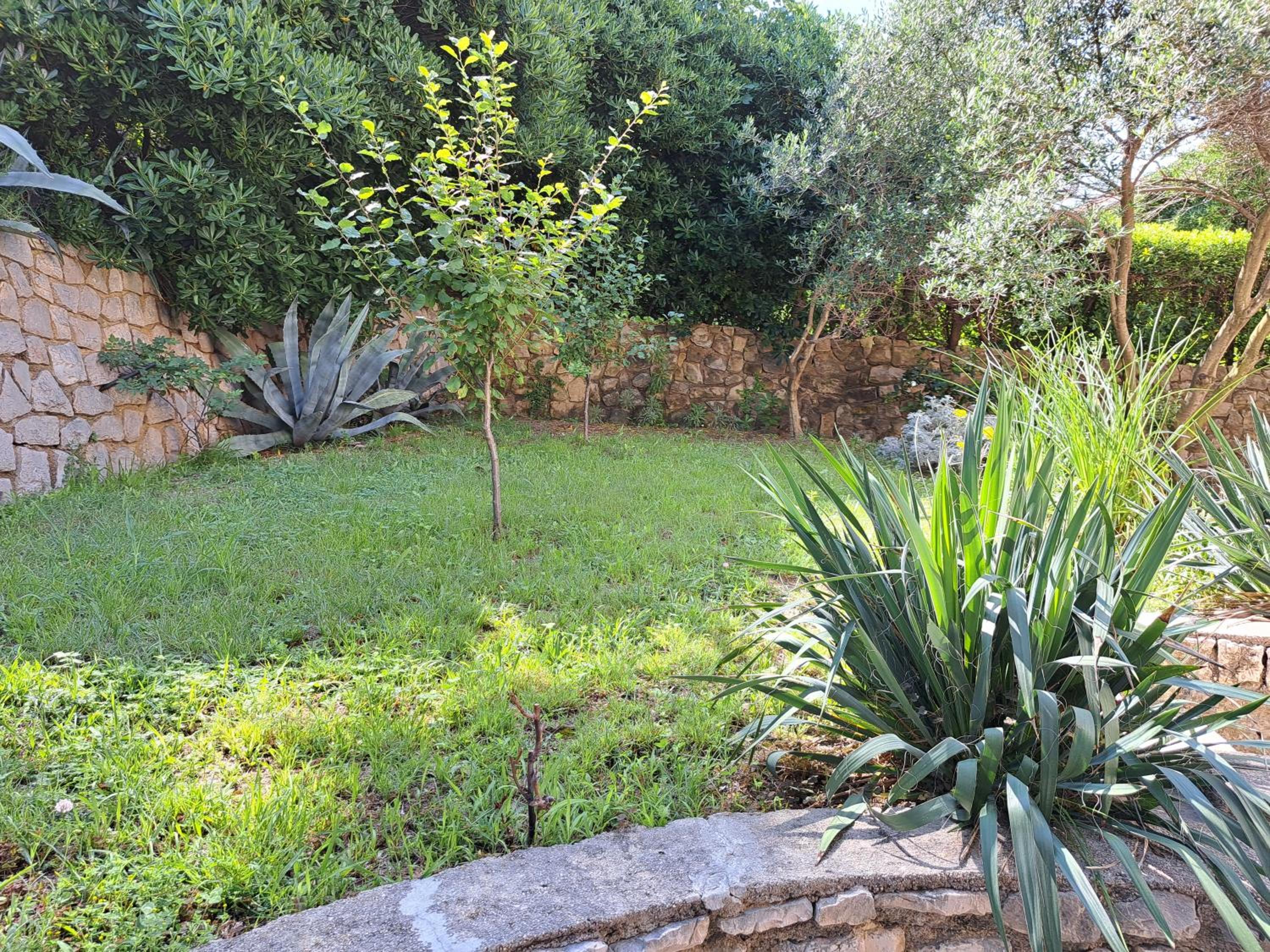 Photo 45