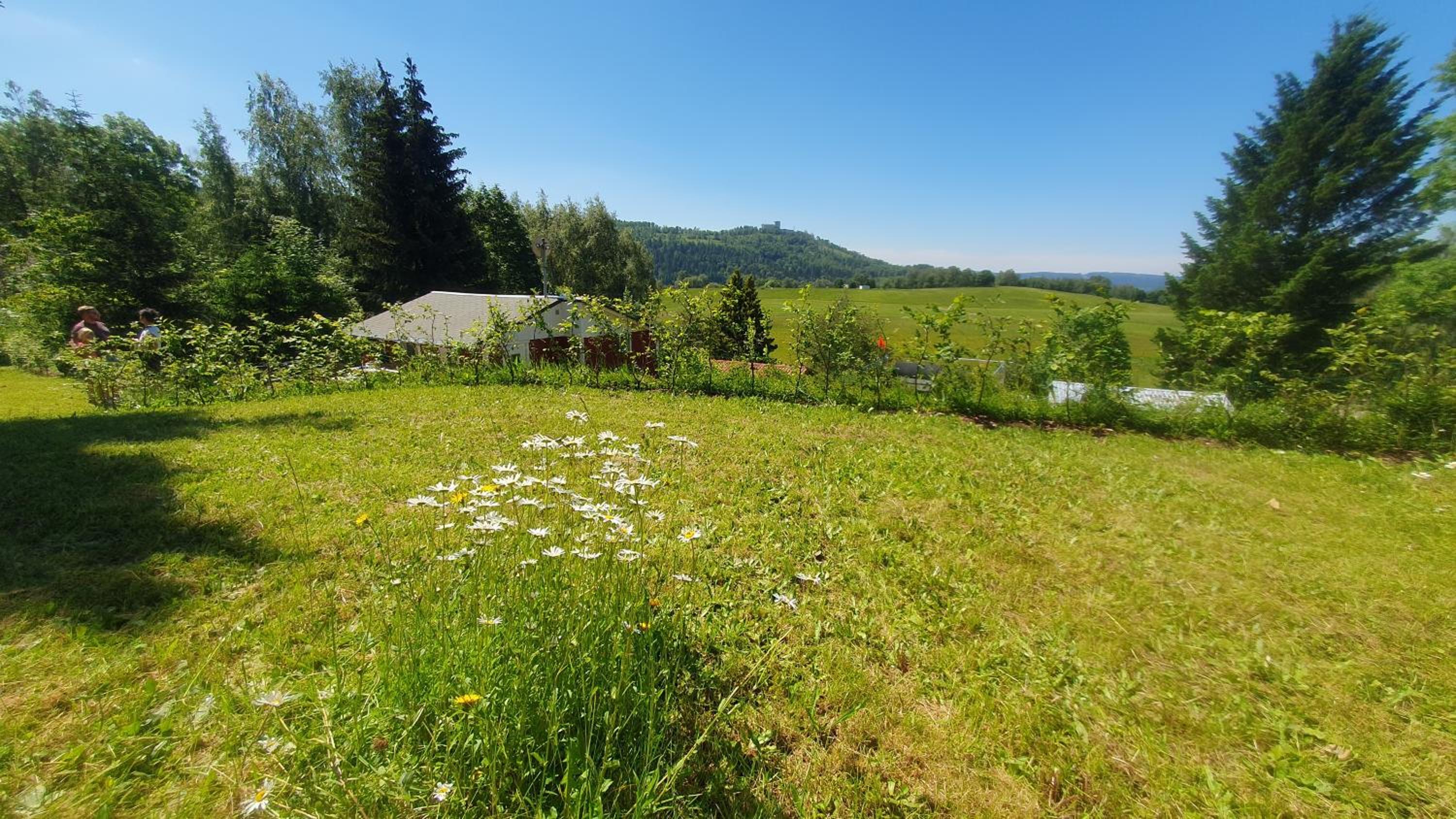 Ferienhaus Schneekopf