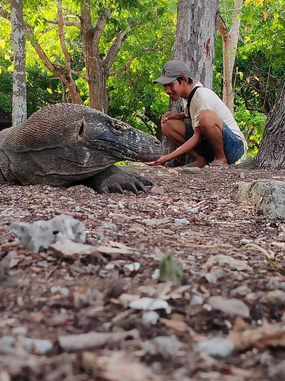 Bajo Komodo Homestay
