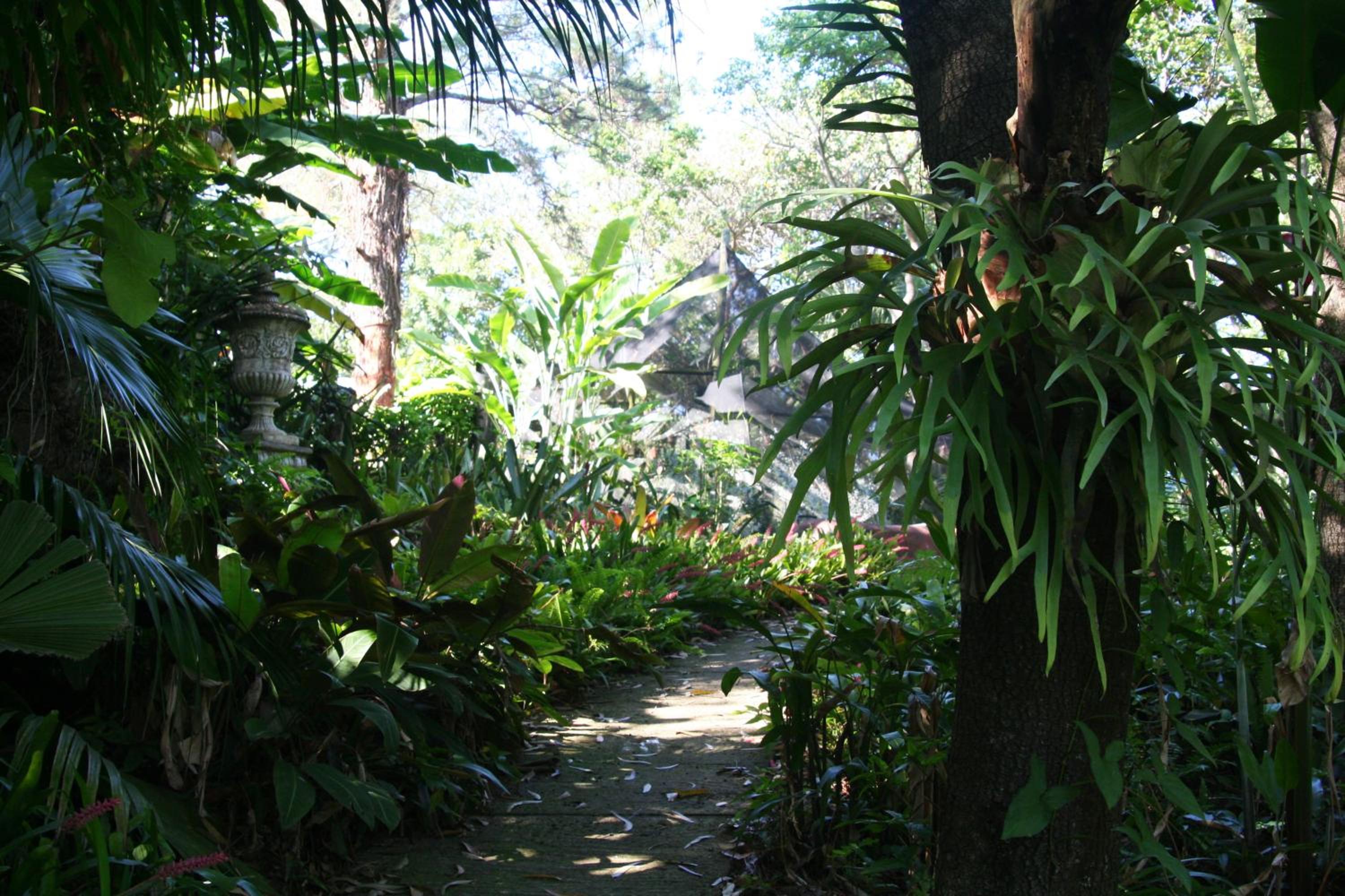 Photo 49