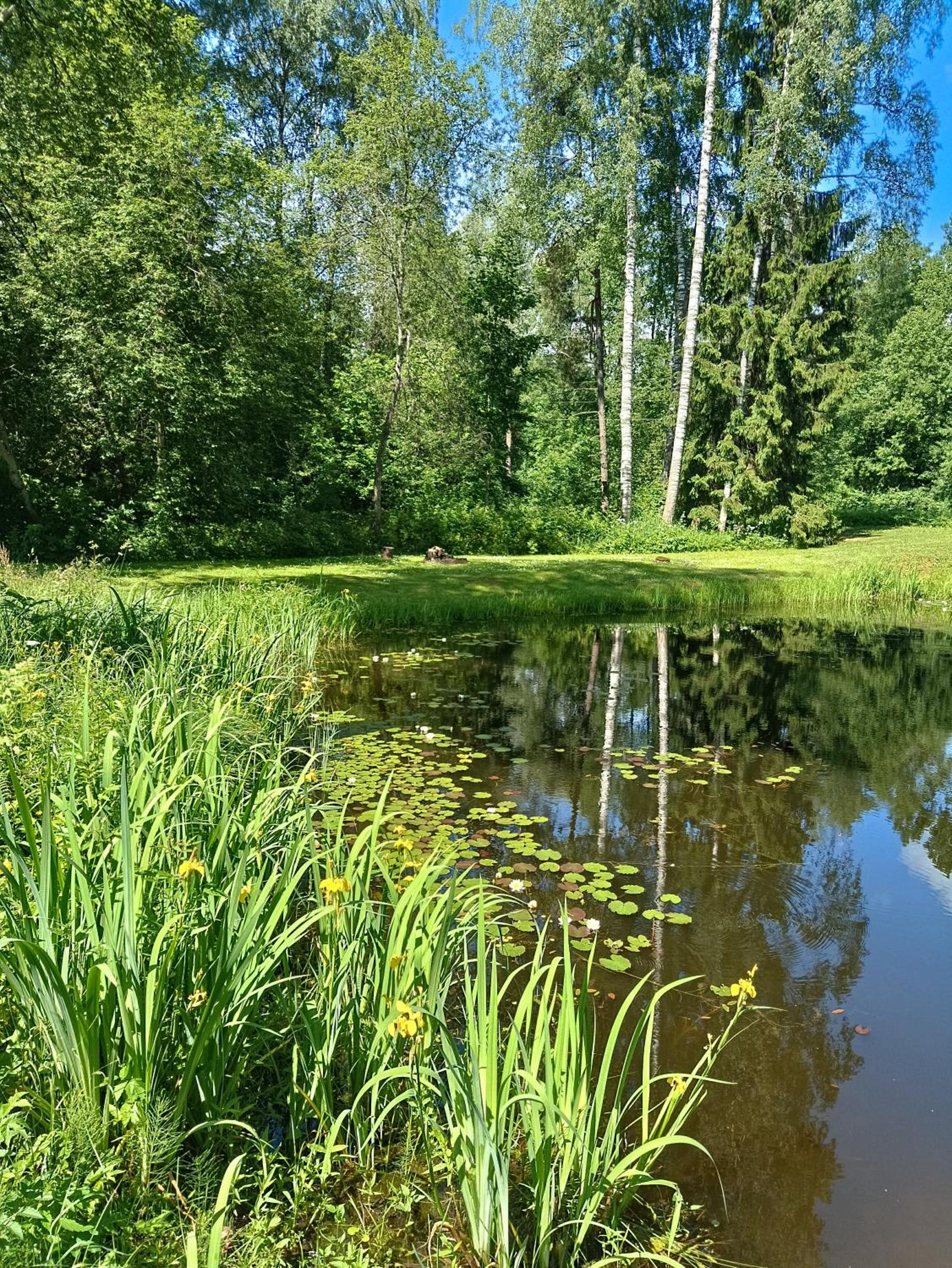 Saulesdārzs