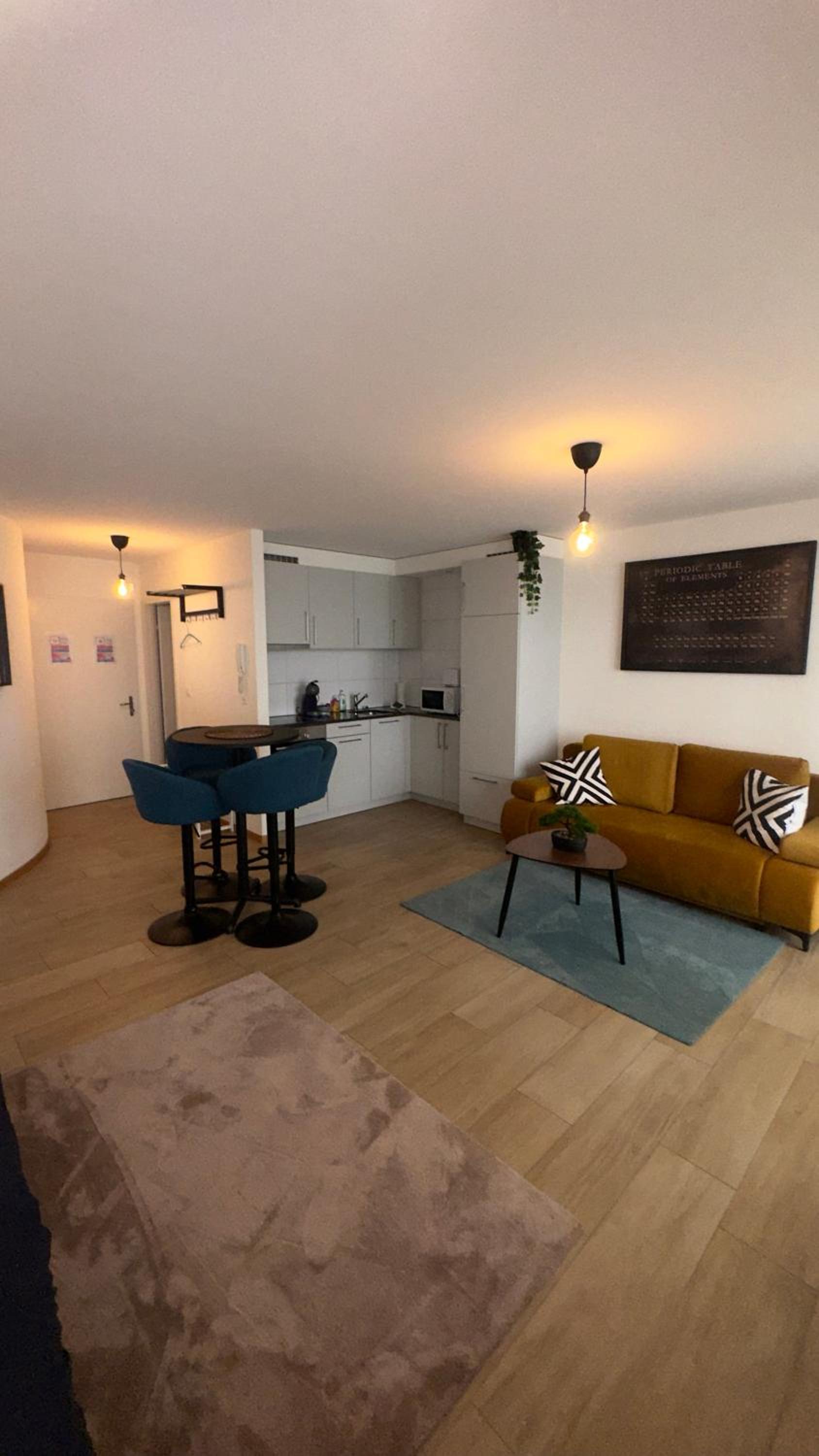 Montreux centre ville lac appartement