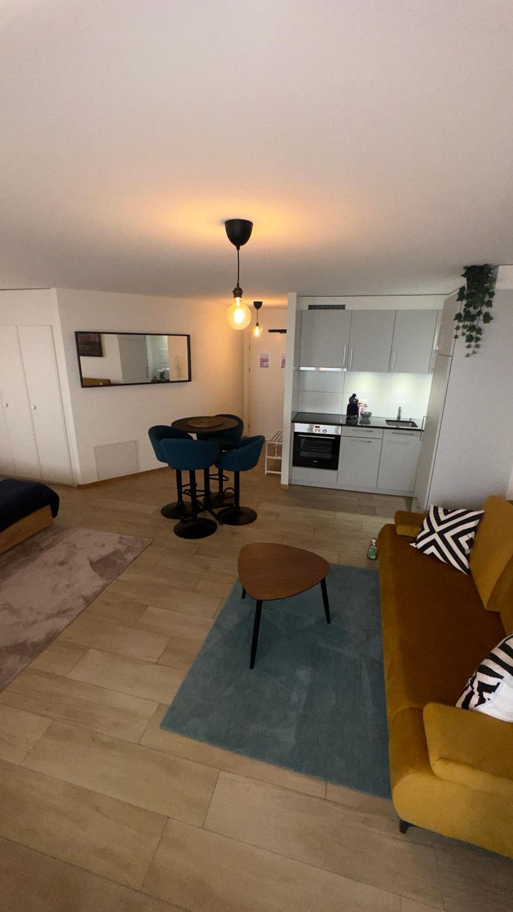 Montreux centre ville lac appartement