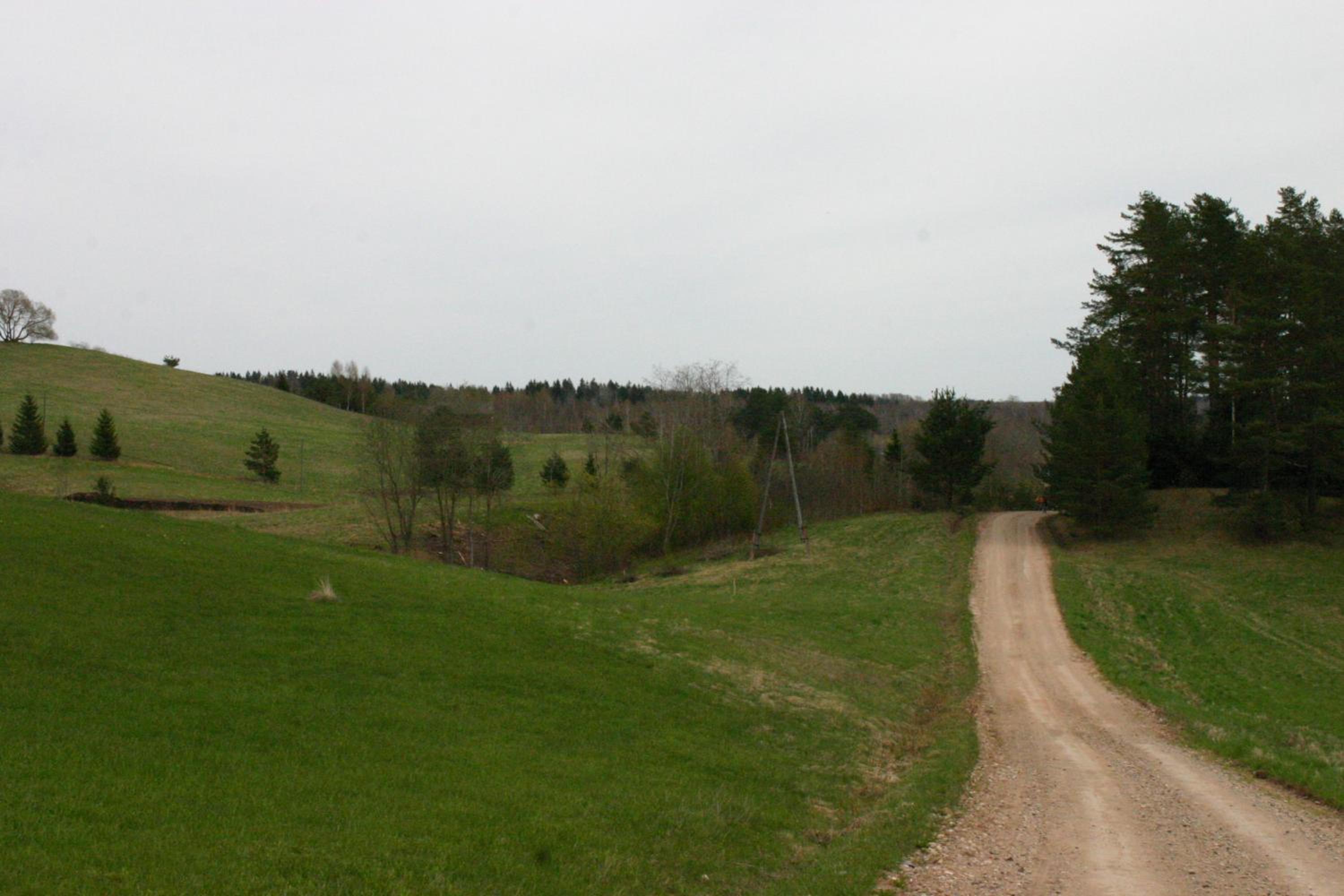 Vēju ritmi