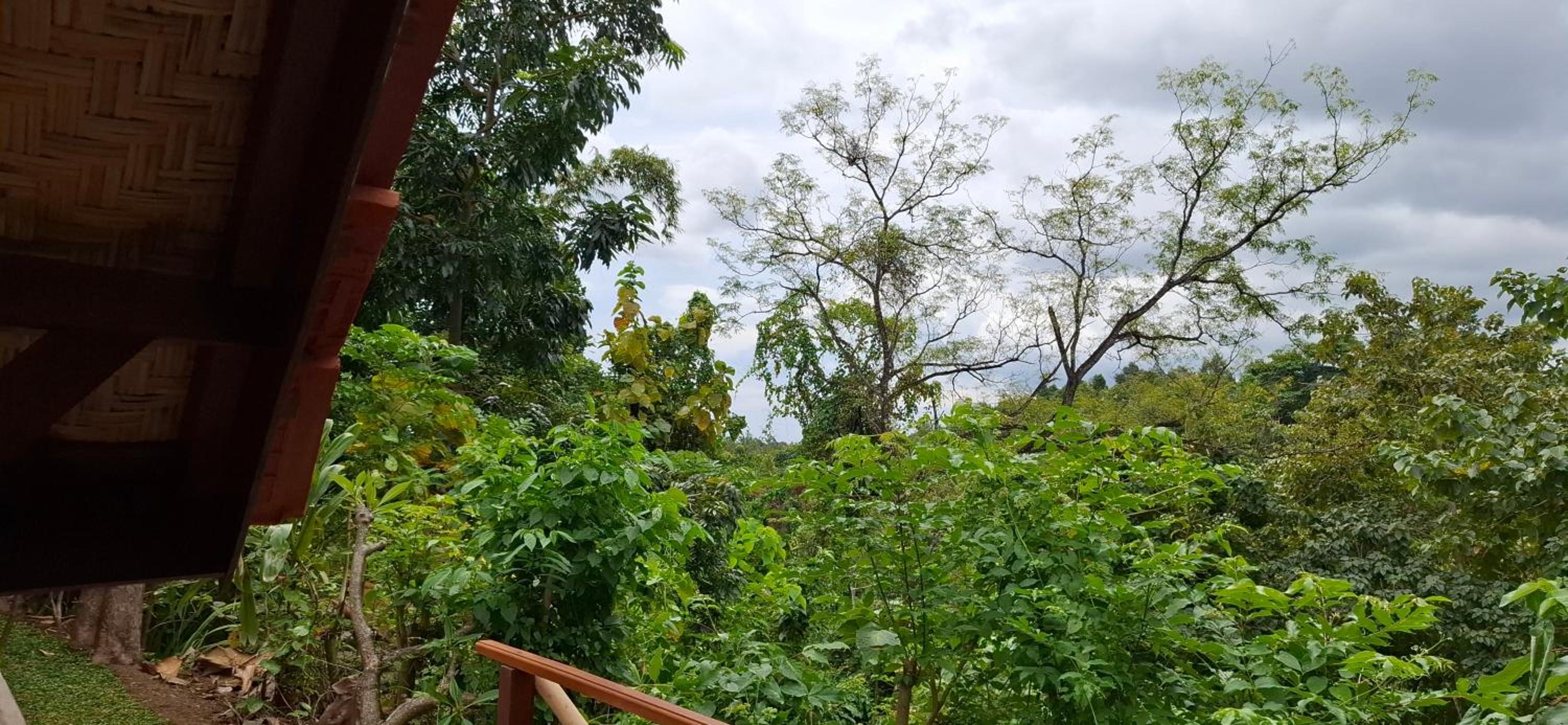 Uma Nirmala Aling-Aling view 2